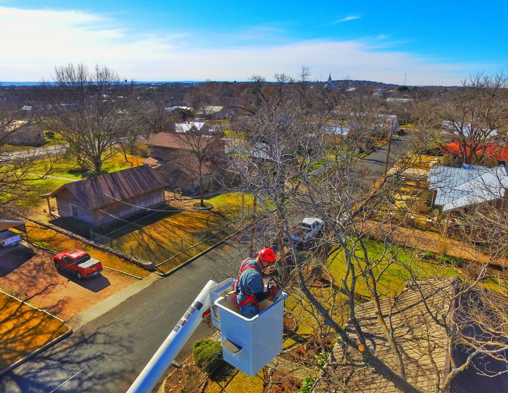 aerial tree trimming from bucket