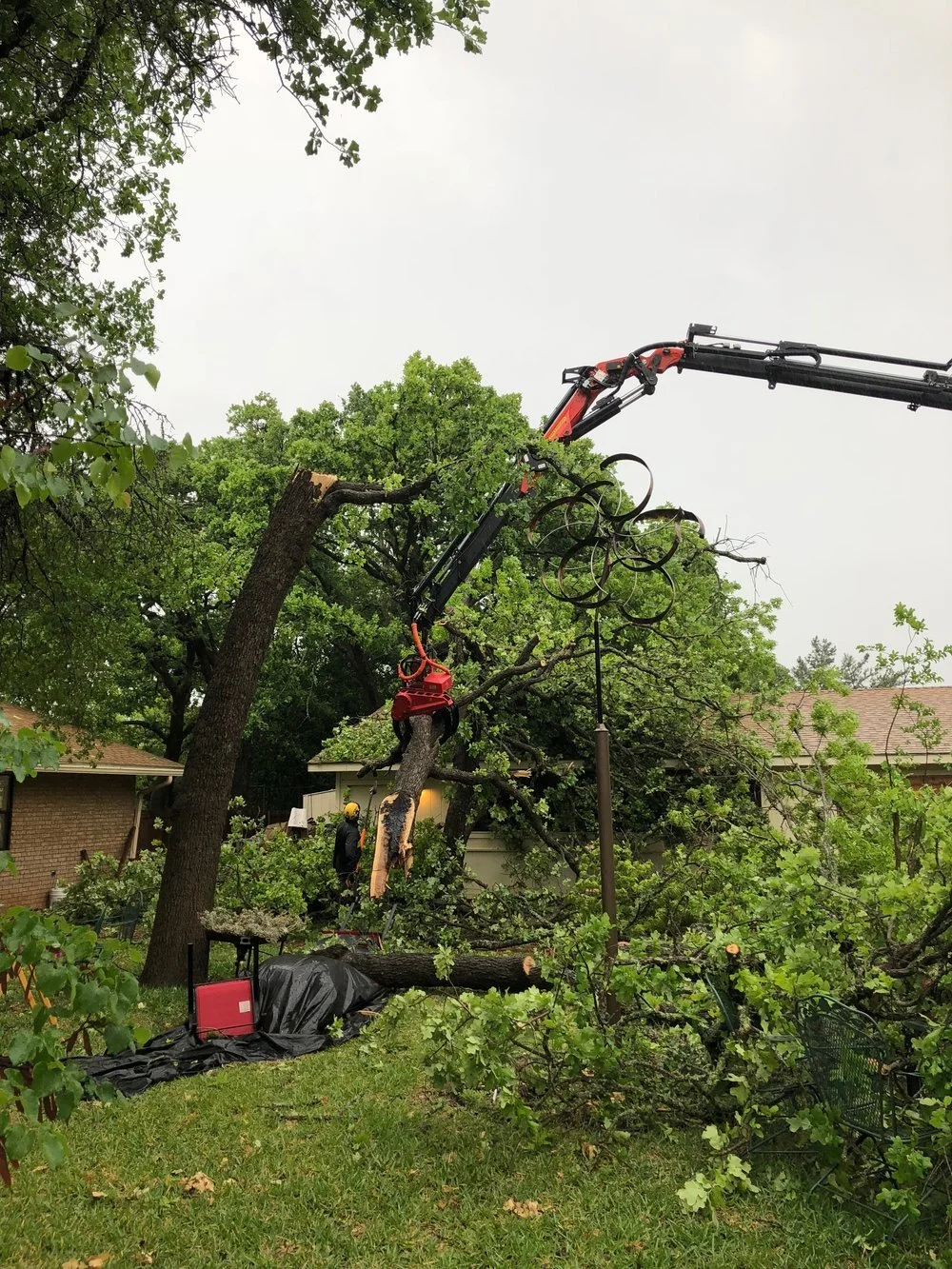 crane saw removing storm damaged tree