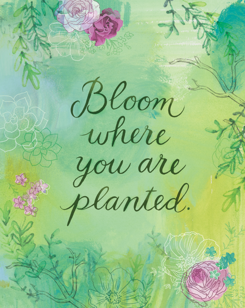 bloom_where_you_are_planted_ali_kurzeja.png