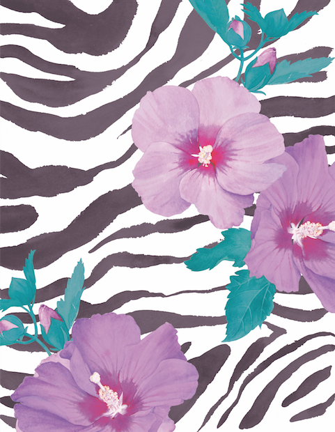 SmallHibiscusZebra.png