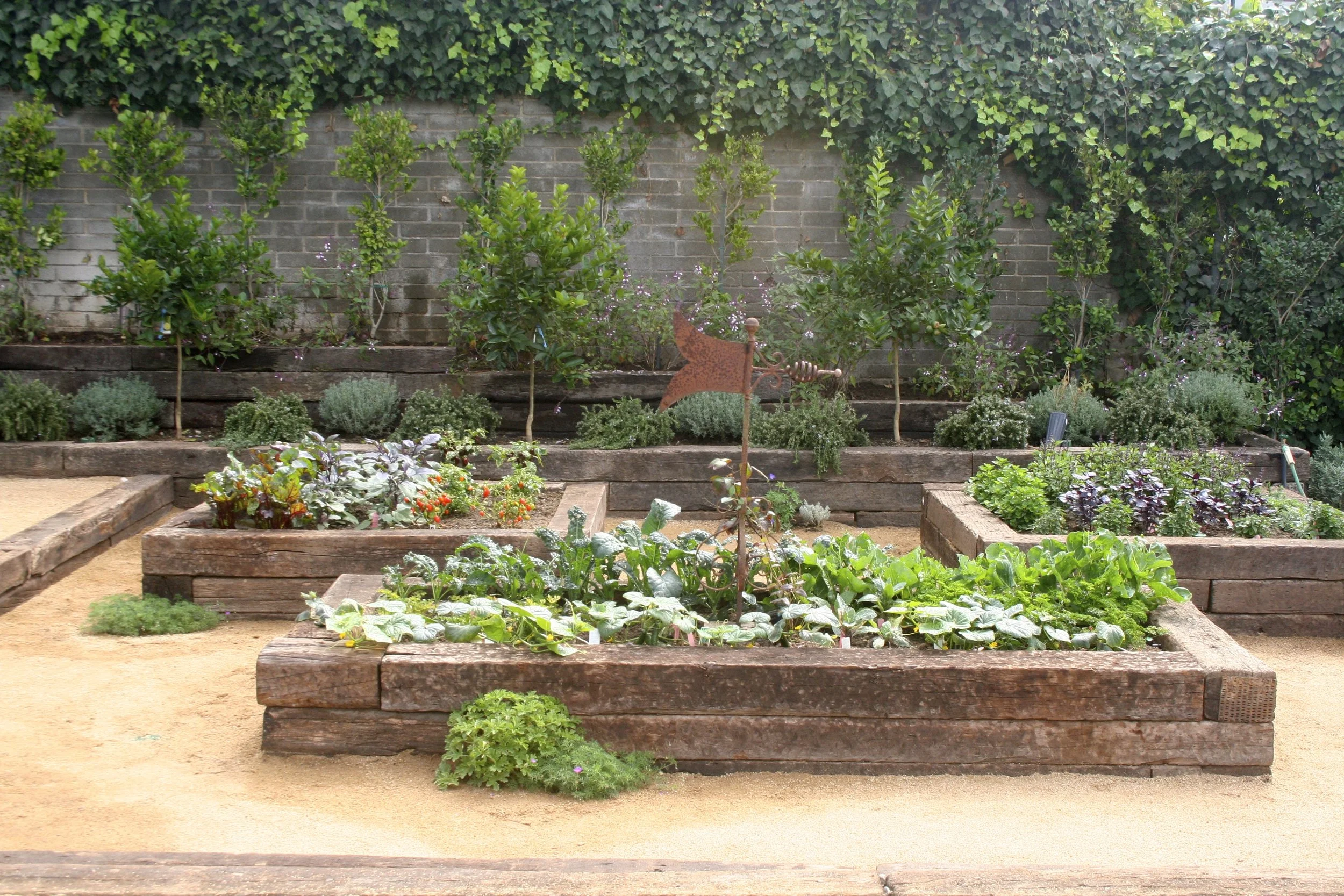 eb veg planters.JPG