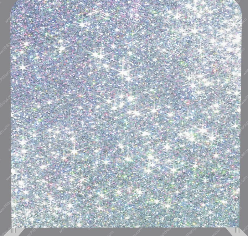 Silver Glitter Photobooth Backdrop Rental Pittsburgh