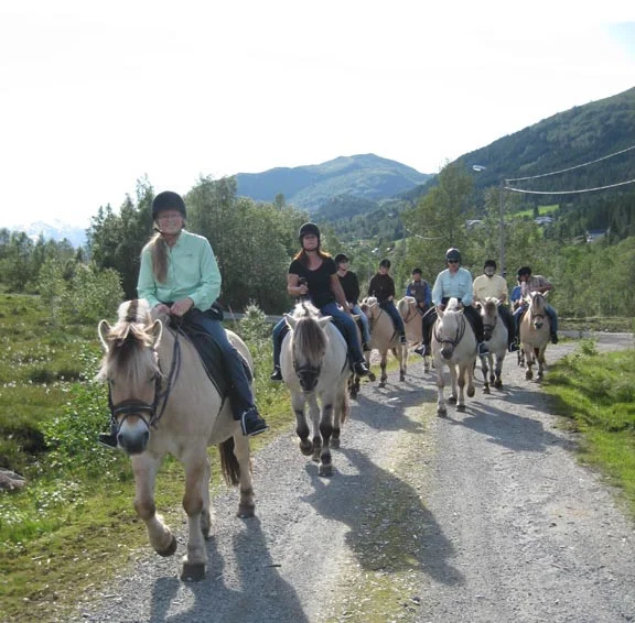 Odden's Rural Life Tours to Norway, 2015