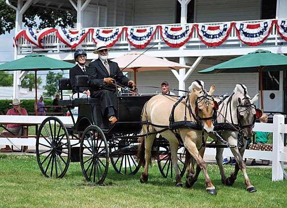 Phil and Else at the Columbus Carriage Classic pleasure driving show.