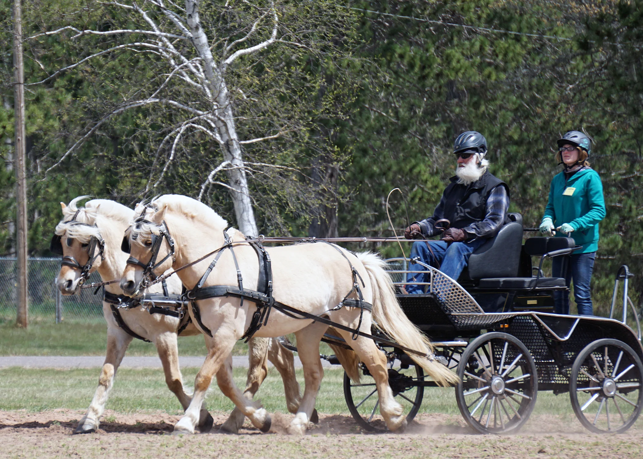 Northwoods Harness Club Clinic 2016