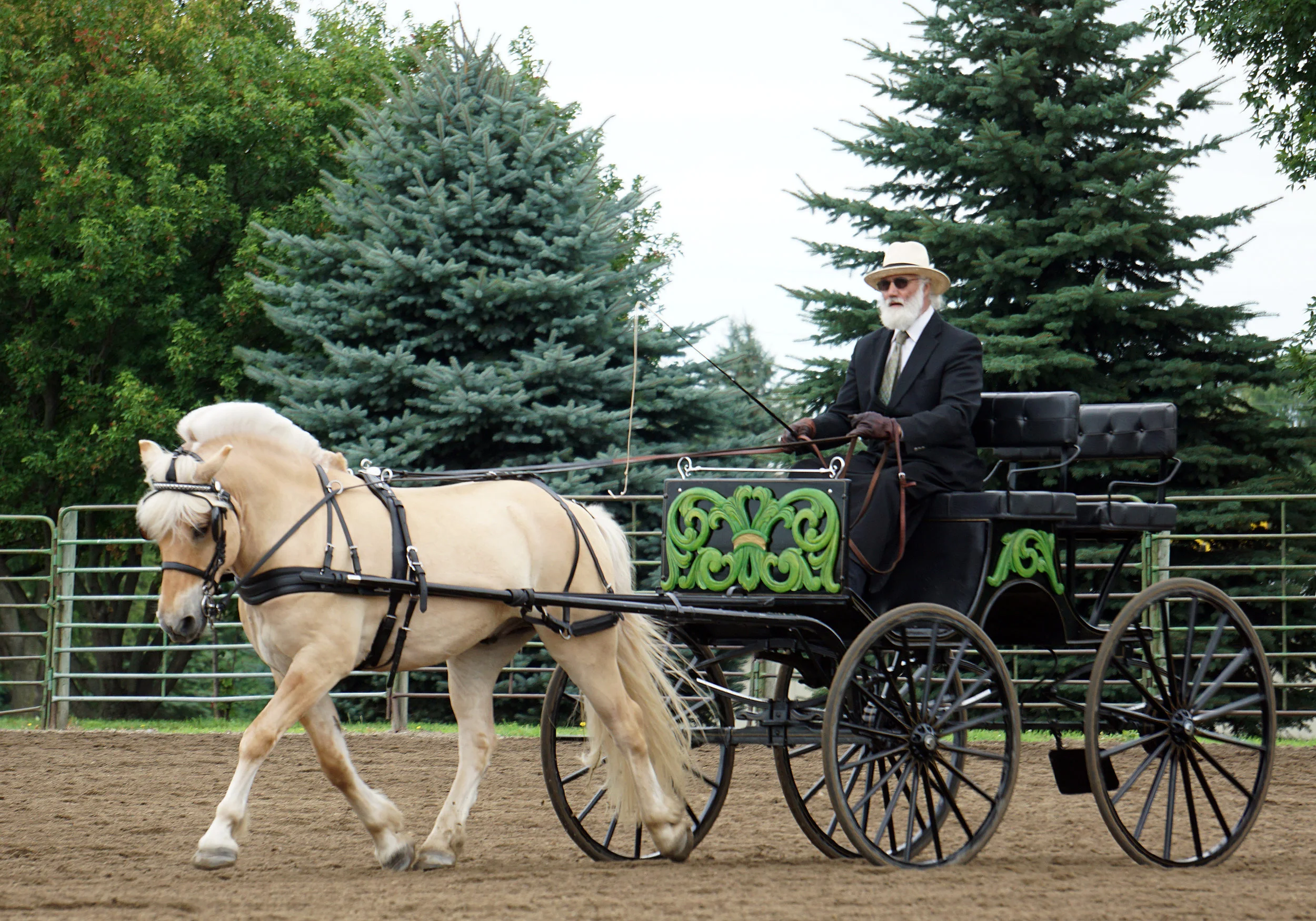 Midwest Fjord Horse Club Show