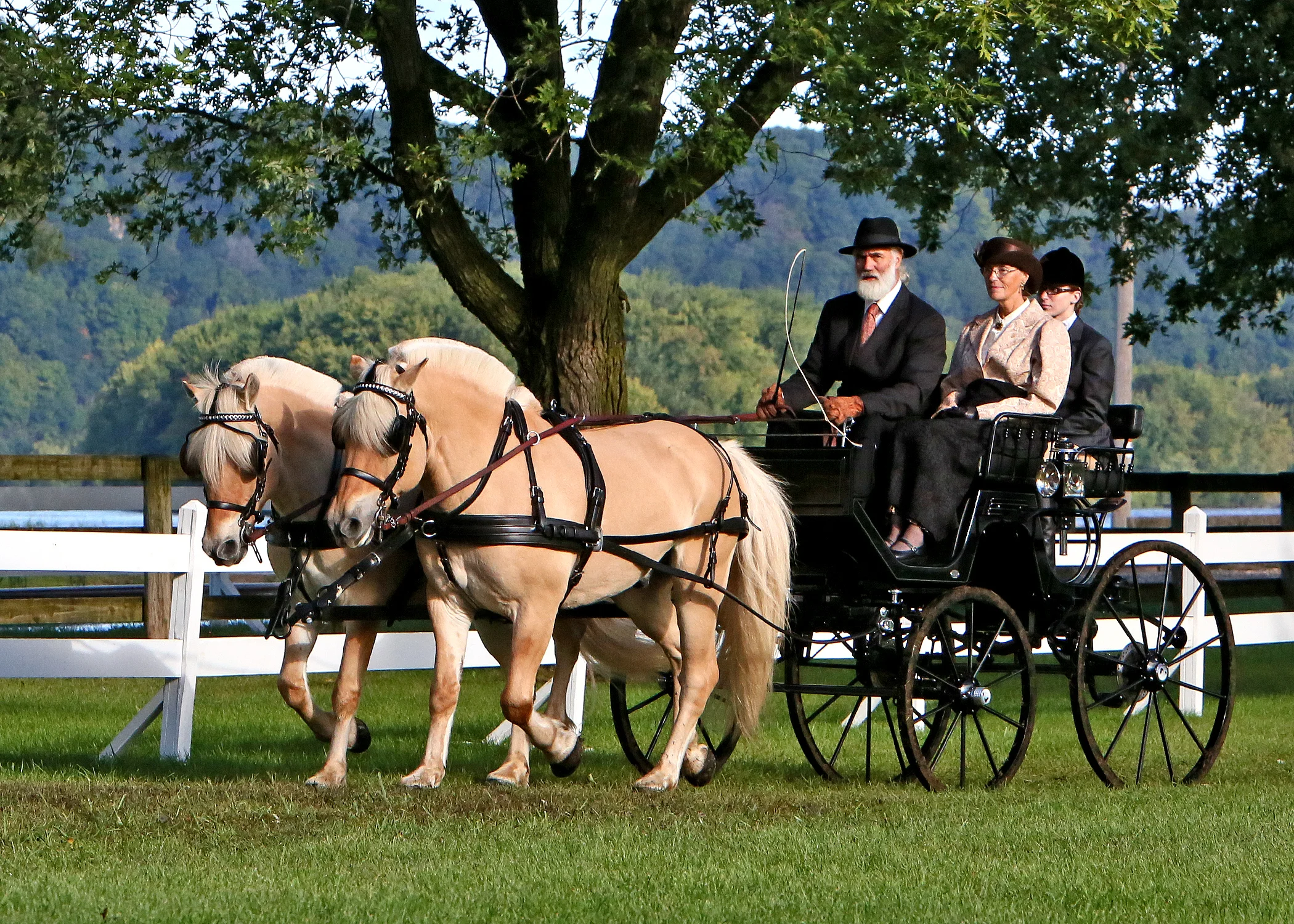 Phil driving Frode and Ildar at the Villa Louie Carriage Classic in September, 2016