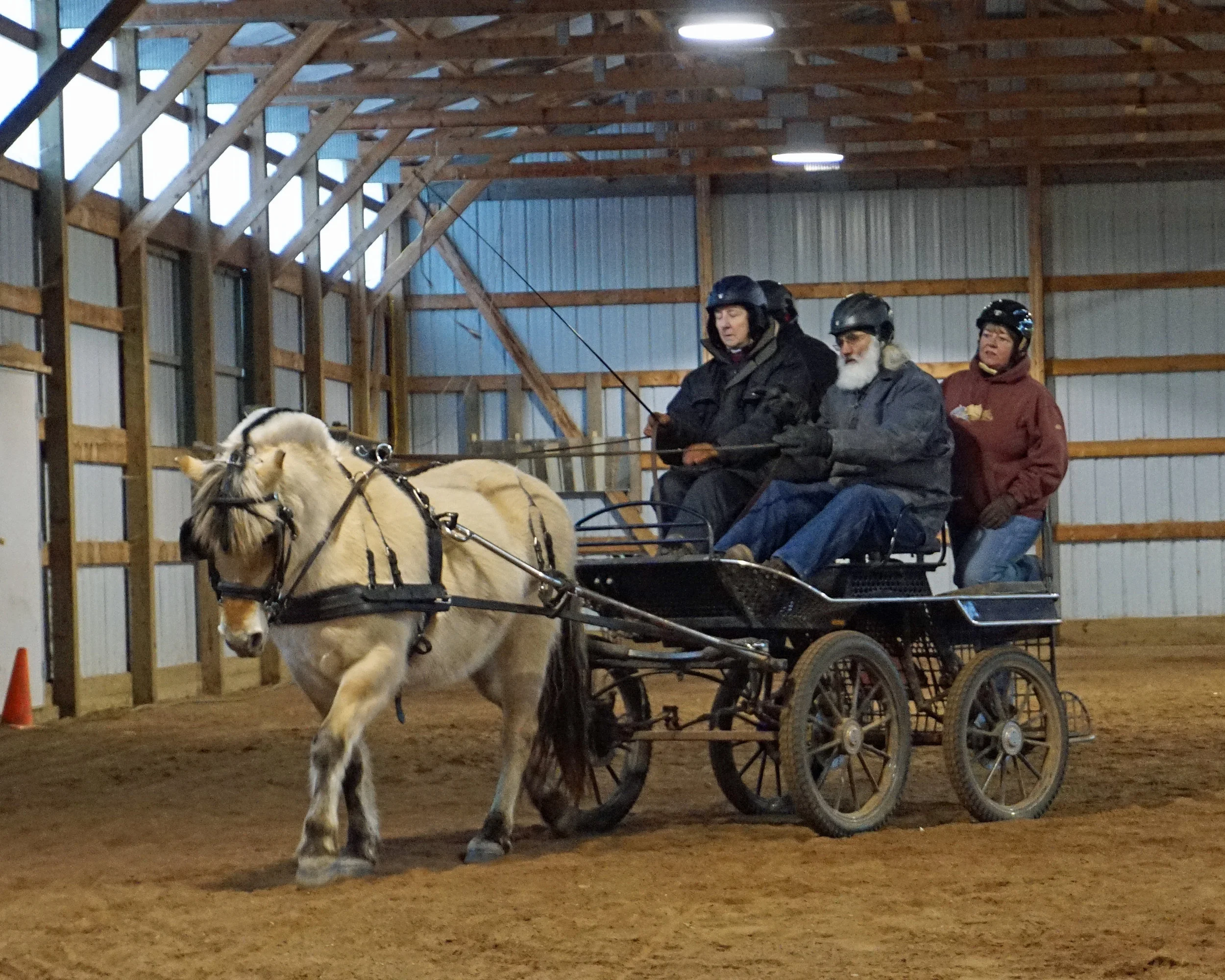 Linda driving Marcy with myself and two students looking on. Linda comes from the therapeutic driving world where they use Fjords in their program.