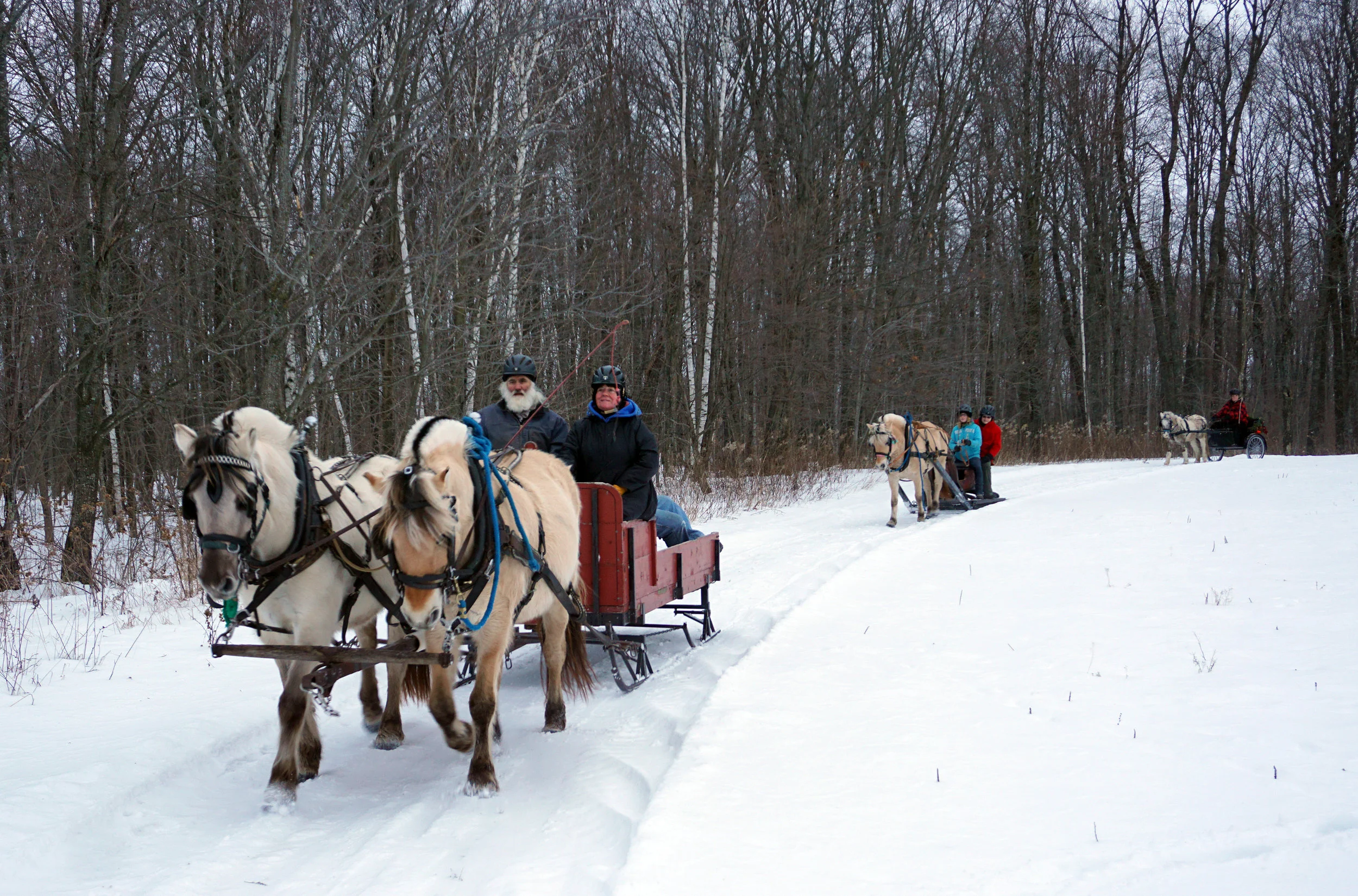We capped the clinic off with a drive on the sleigh trails. 