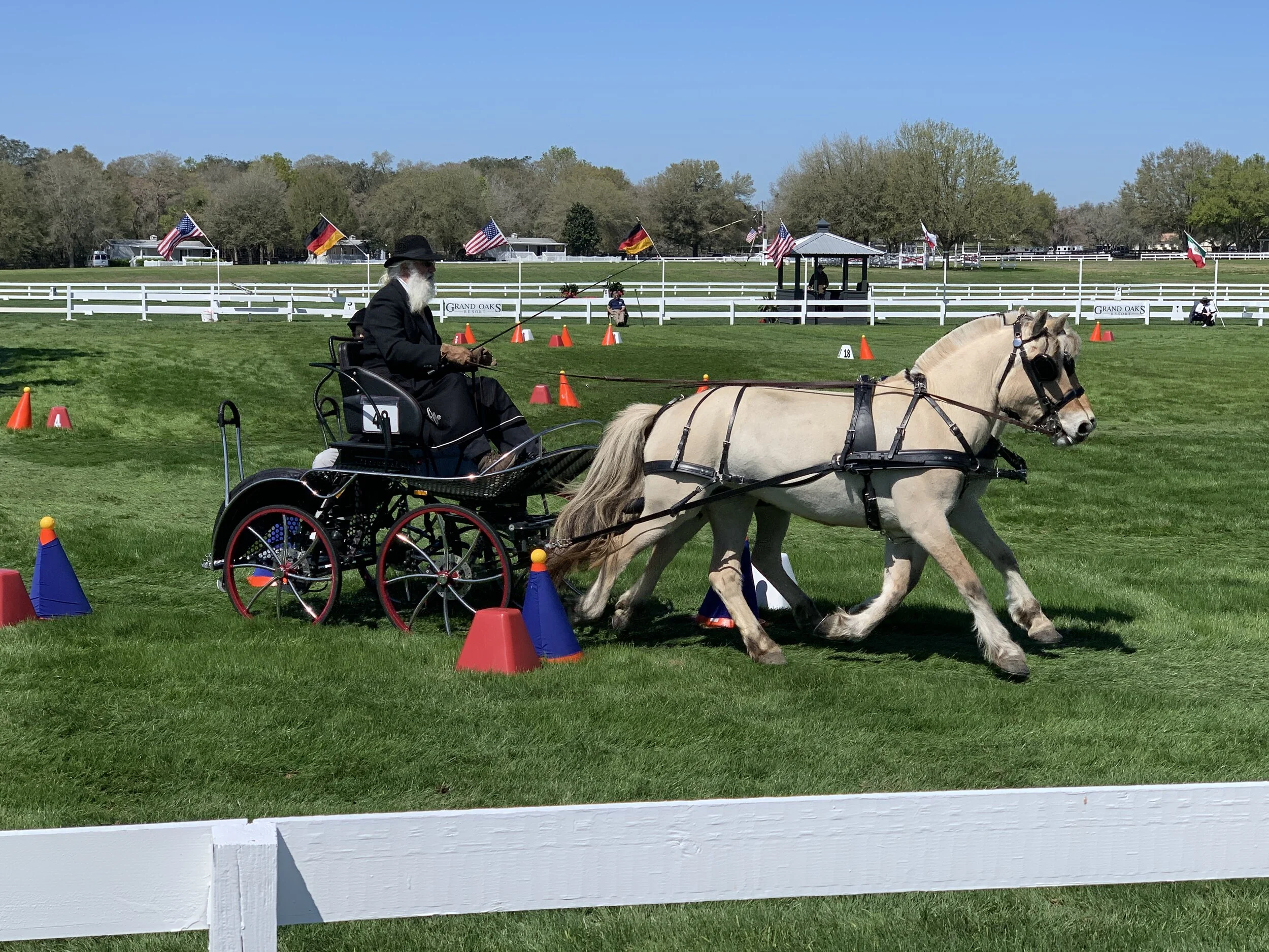 Photo by Kathryn Dickerson