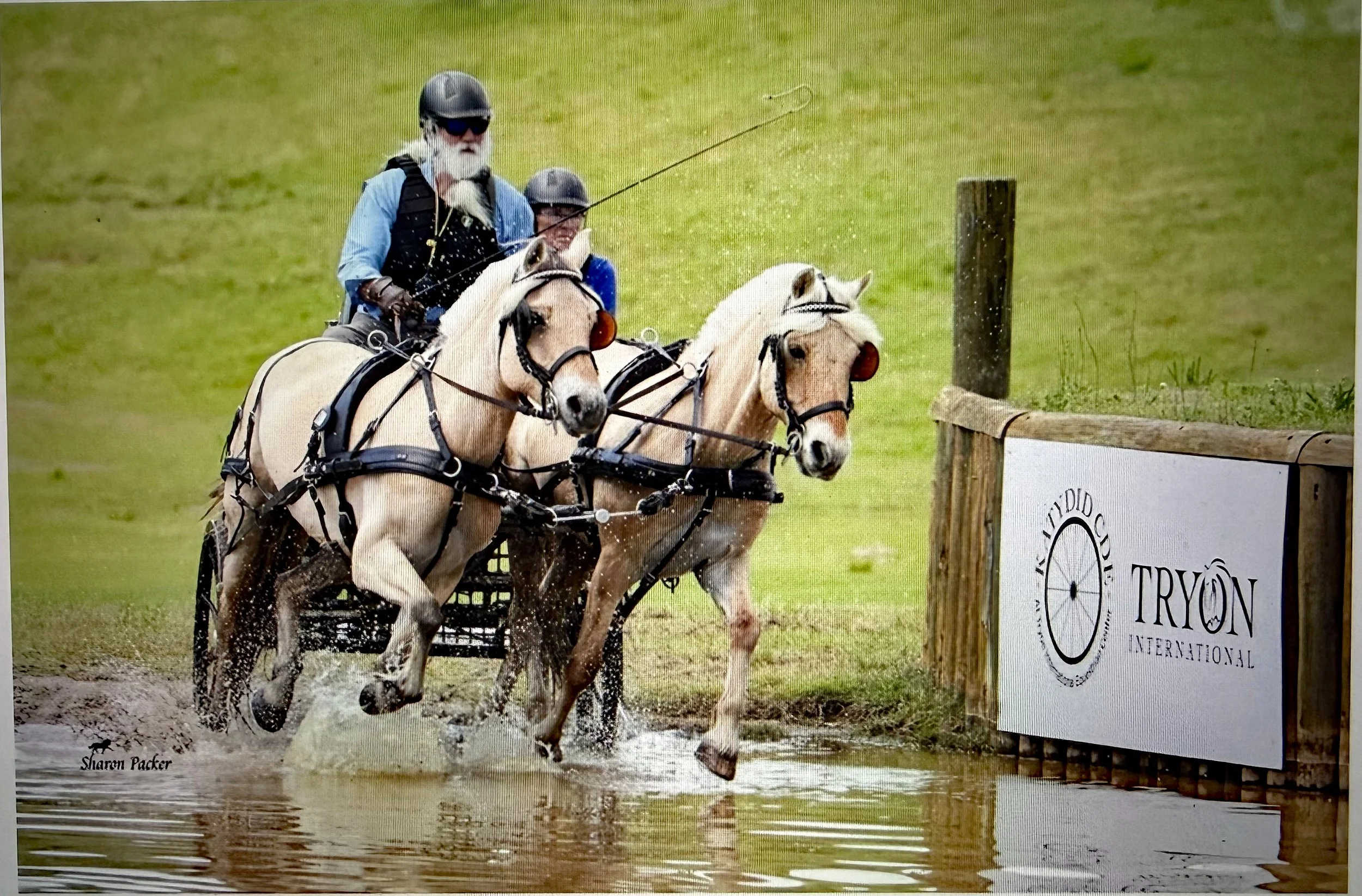 2025 USEF Driving National Championship at Katydid CDE