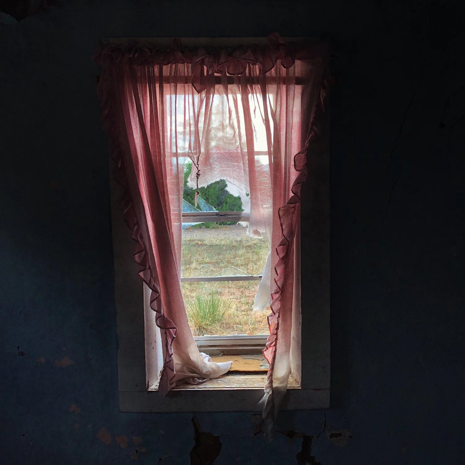 Pink curtains , 2018