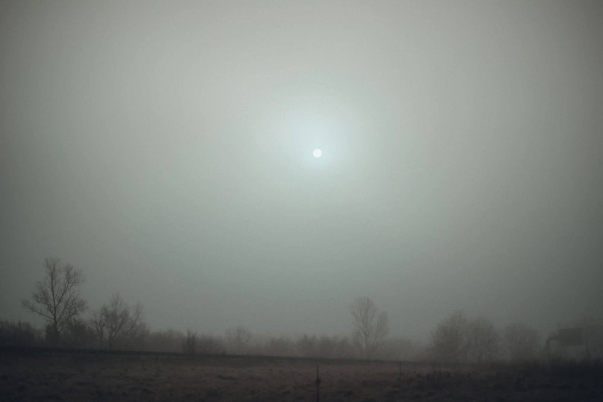 _DSC8091.jpg