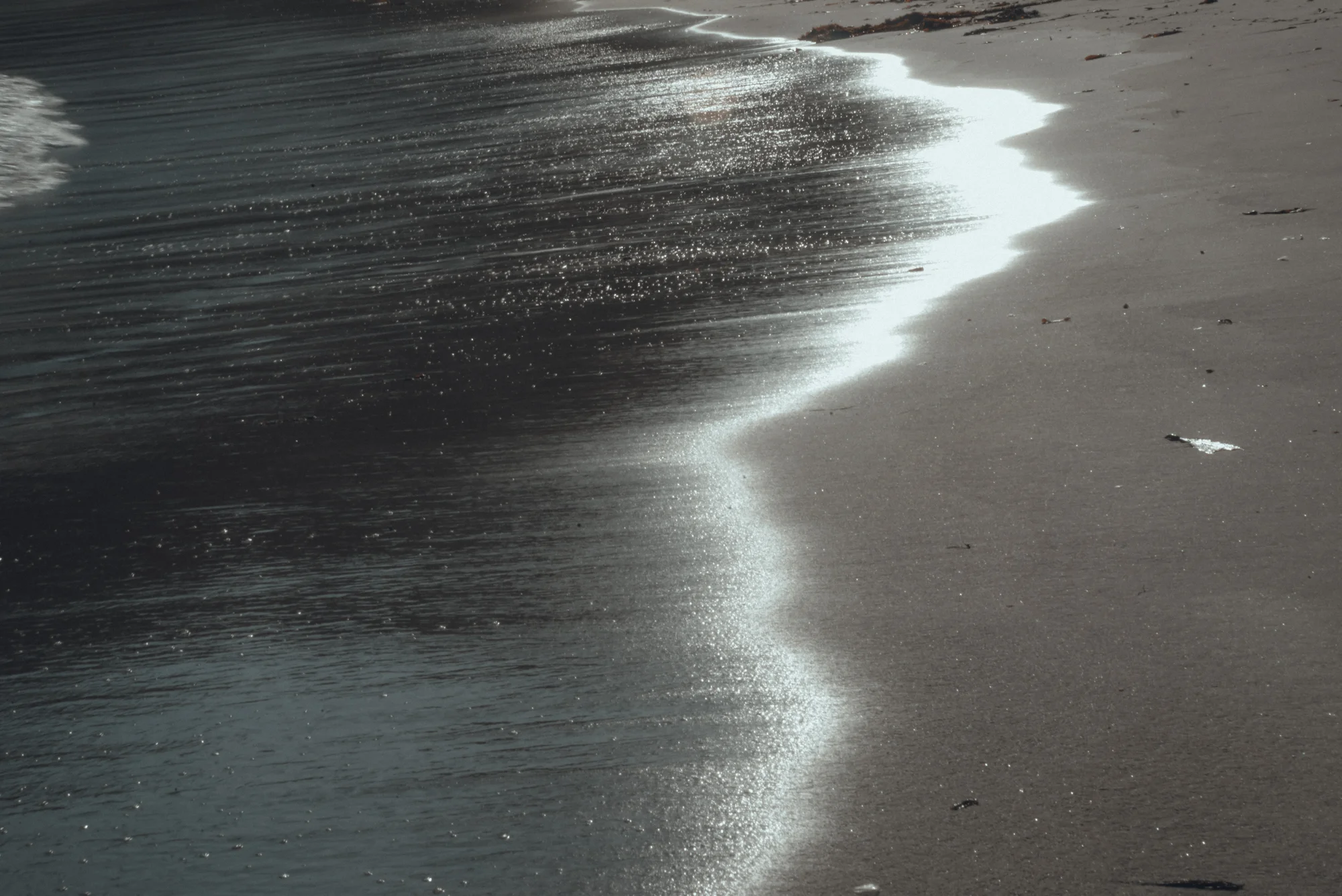_DSC8833.jpg