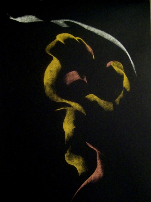 Untitled drawing, Pastel on paper, 14" x 17", 2010