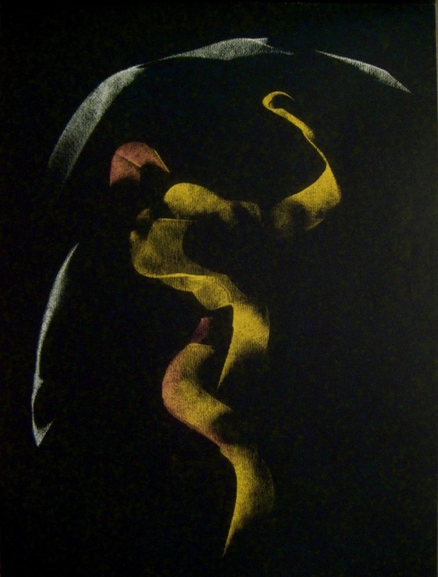 Untitled drawing, Pastel on paper, 14" x 17", 2010