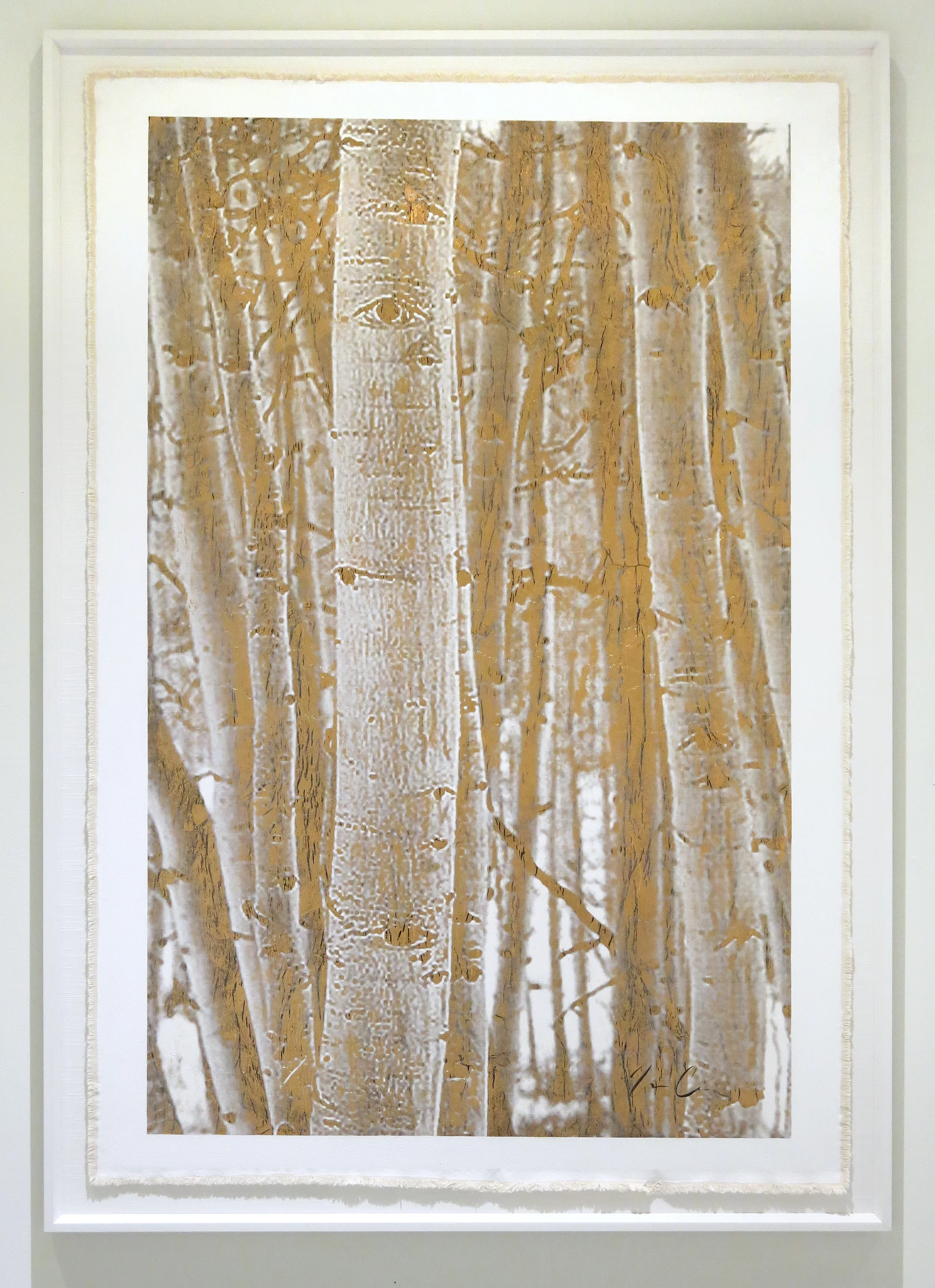 Aspen Woodlands