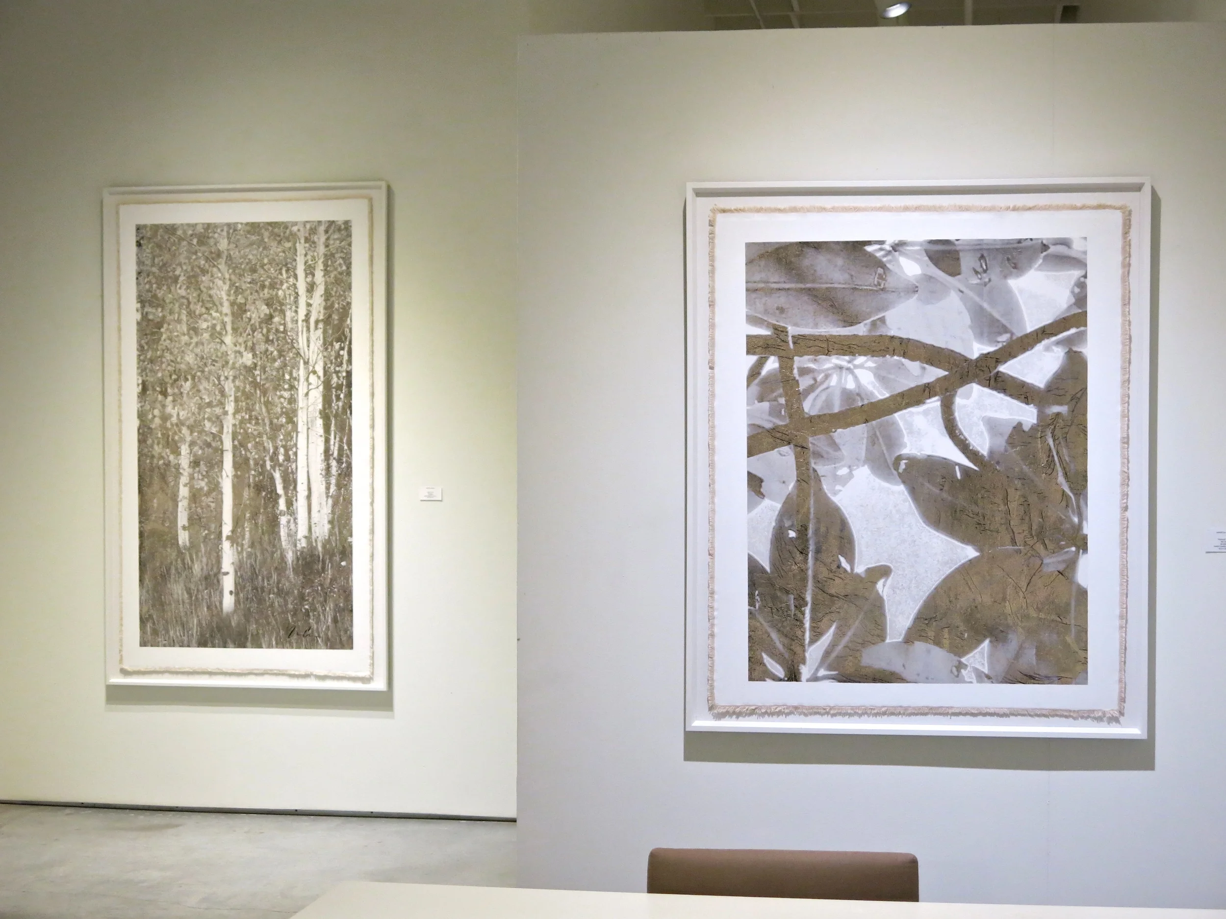 Works from the "Natural Abstractions" series