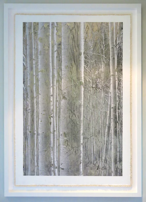Aspen Stand_for website.jpg