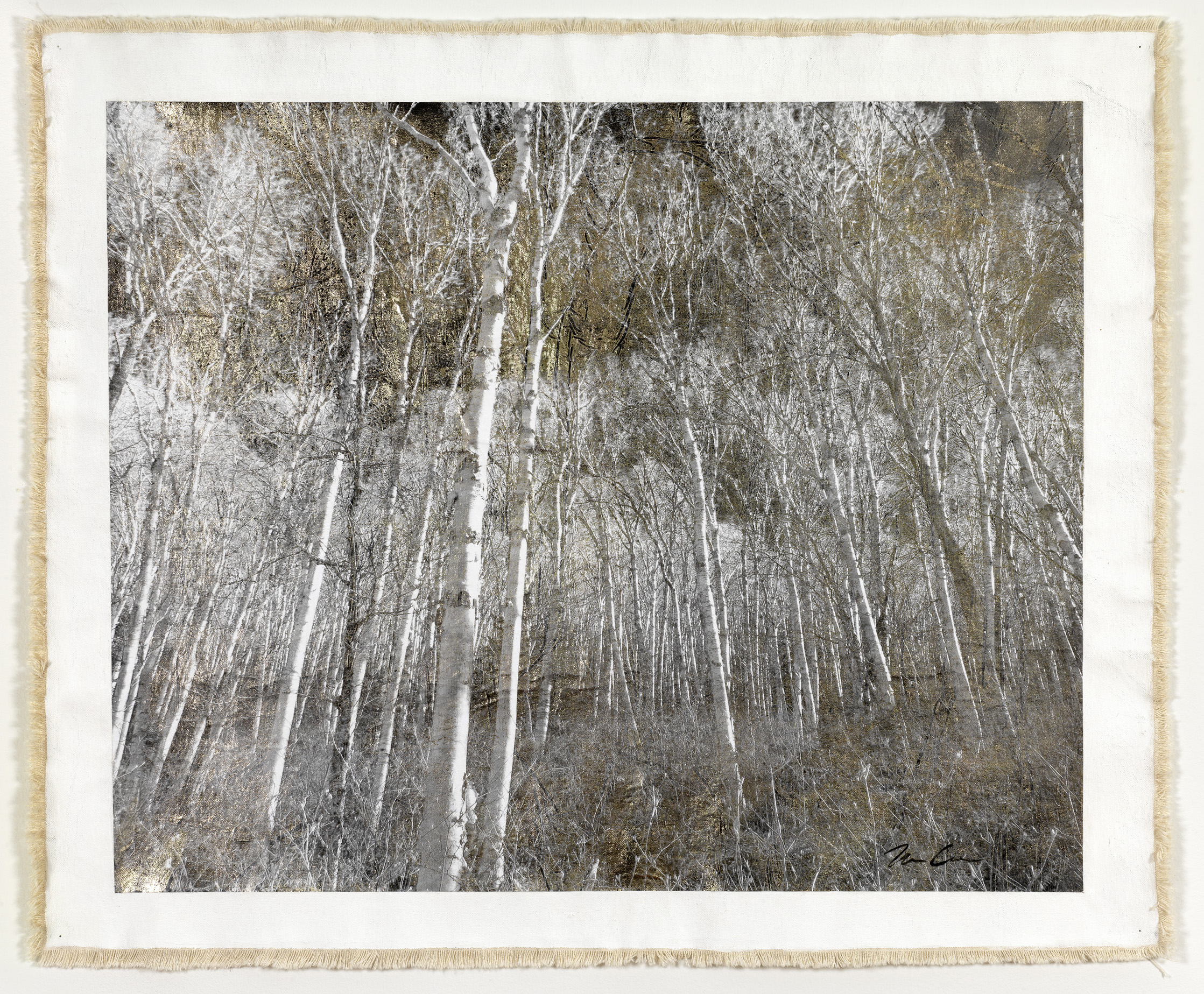 Birch Grove, Mt. Hale