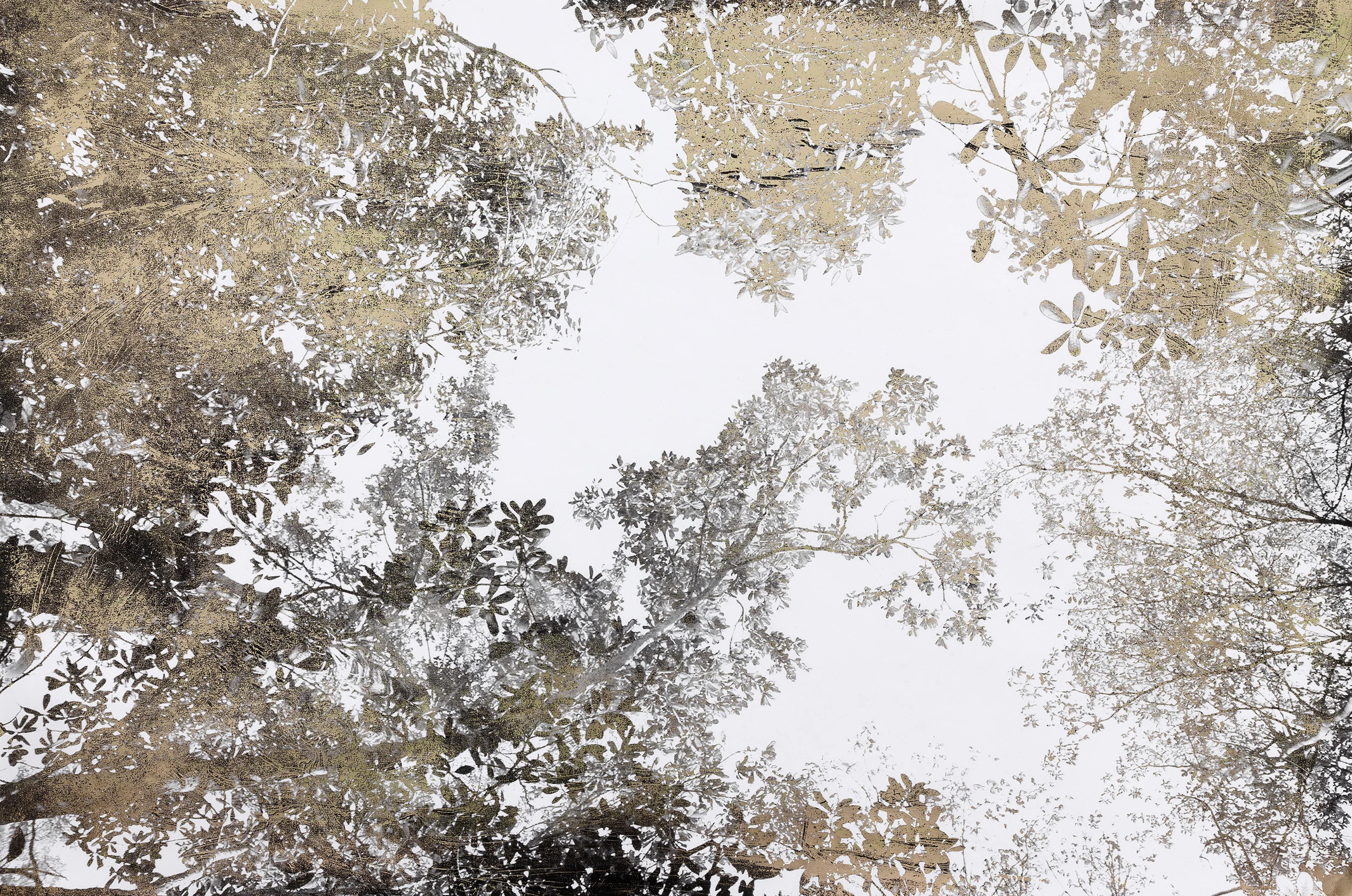 Jungle Canopy I