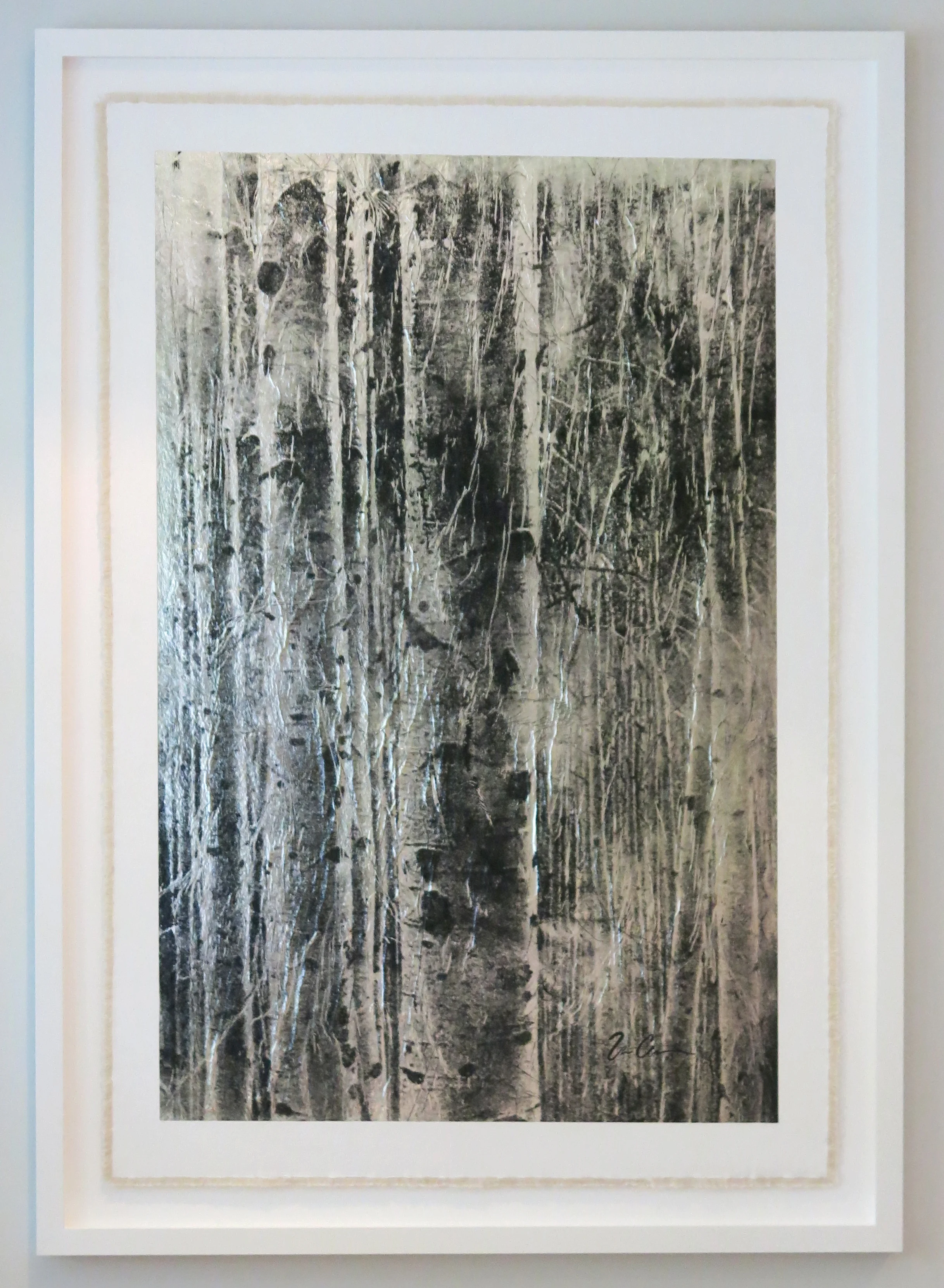 Aspen Stand, Negative