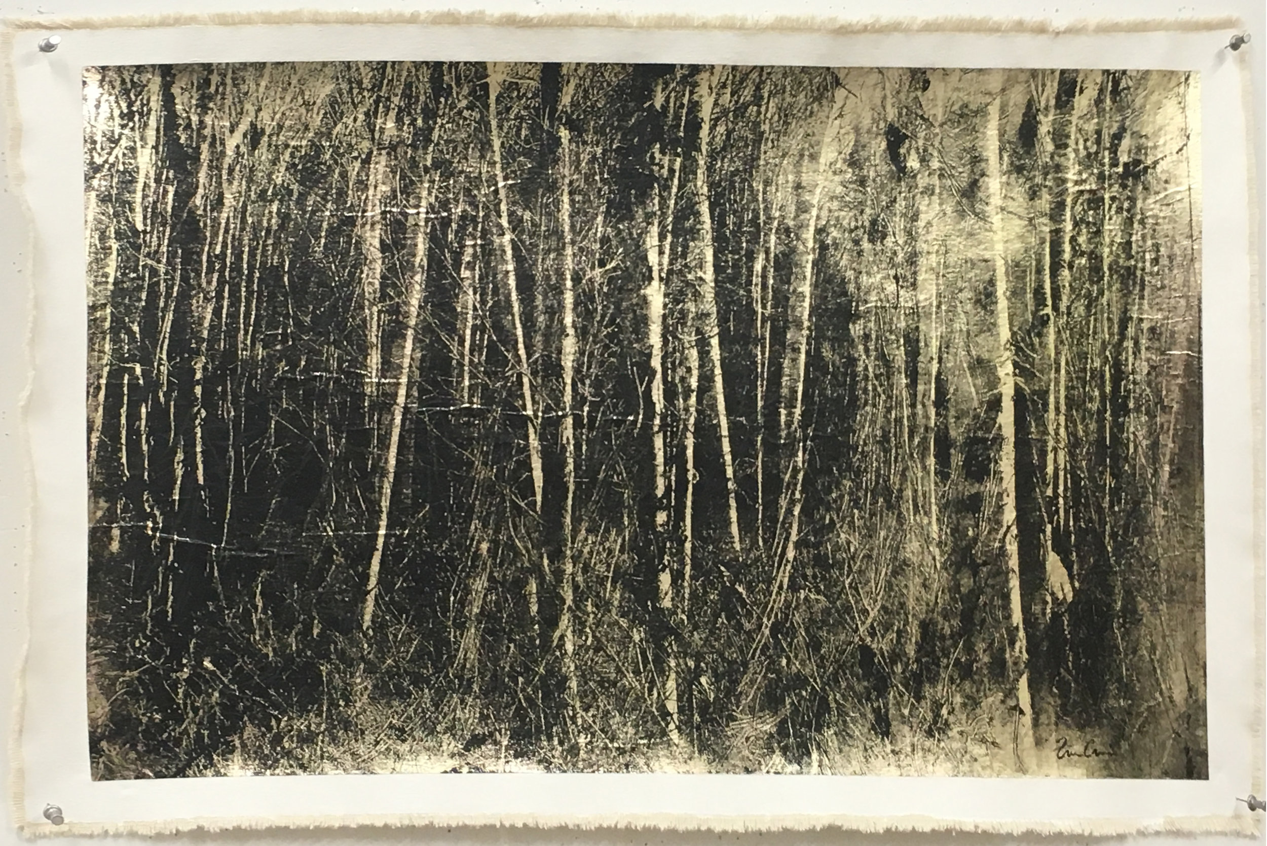 Birch Grove, Negative