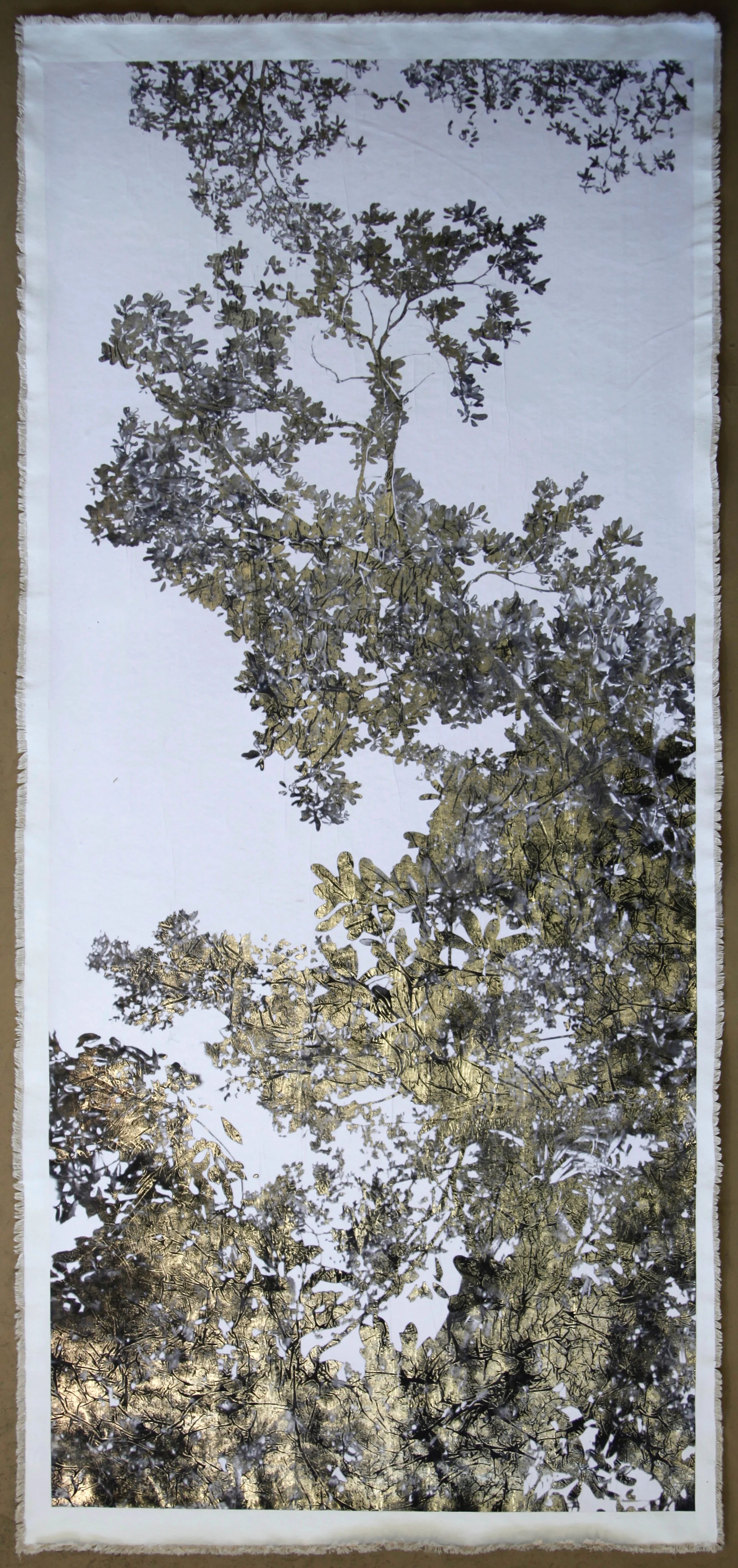 Jungle Canopy VI, Positive
