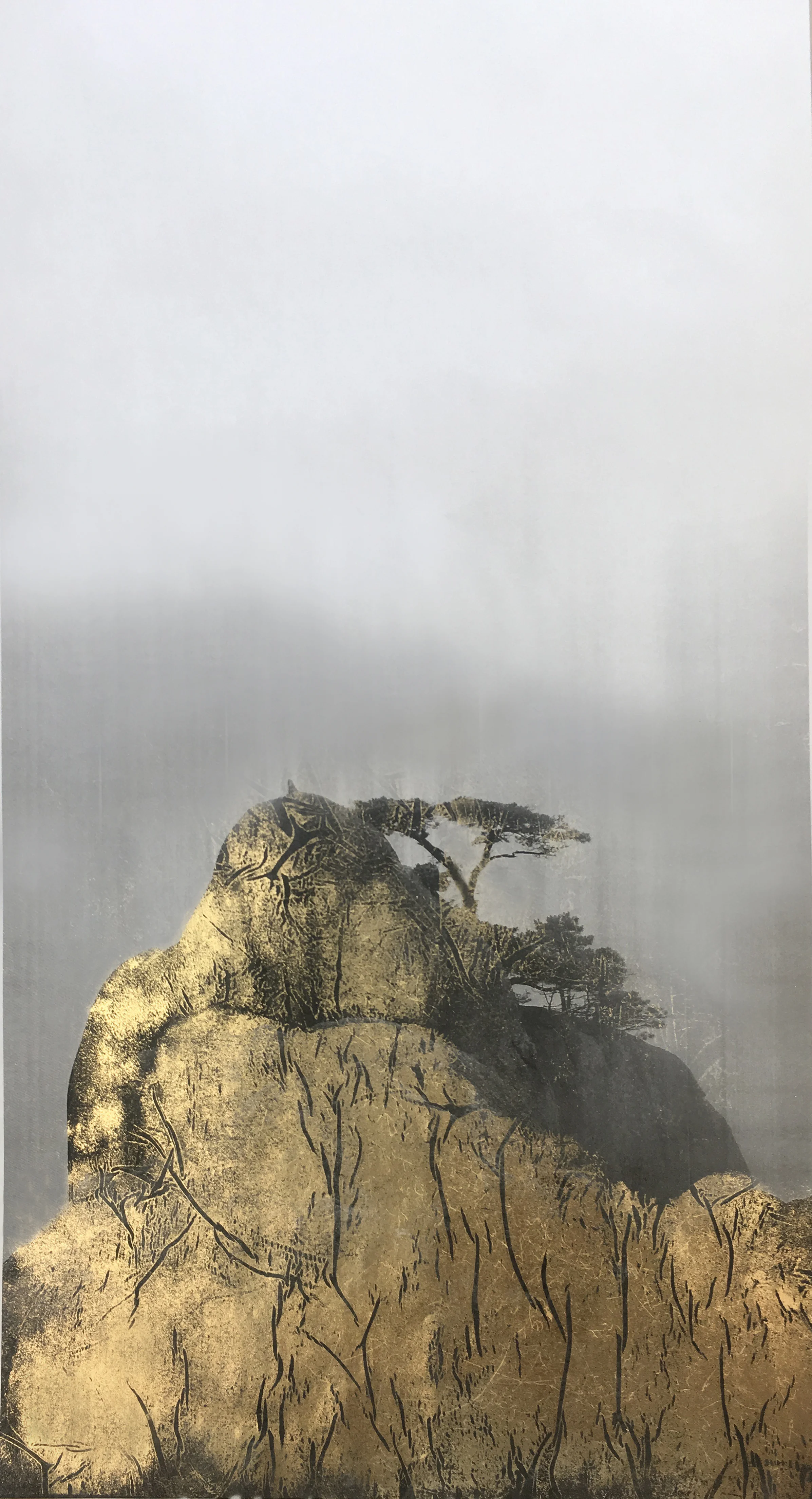 Huangshan Pines