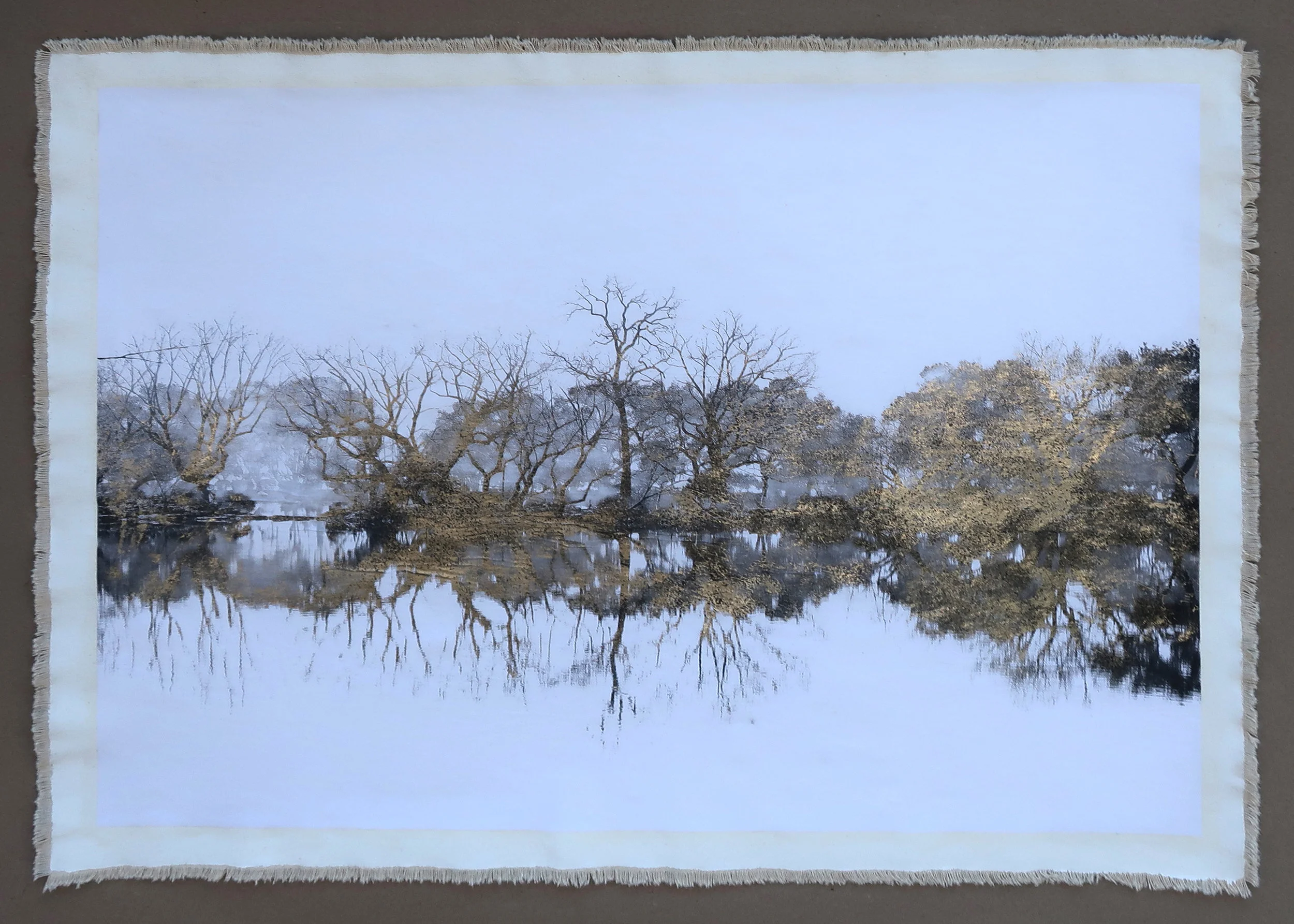Tree Silhouette West Lake I