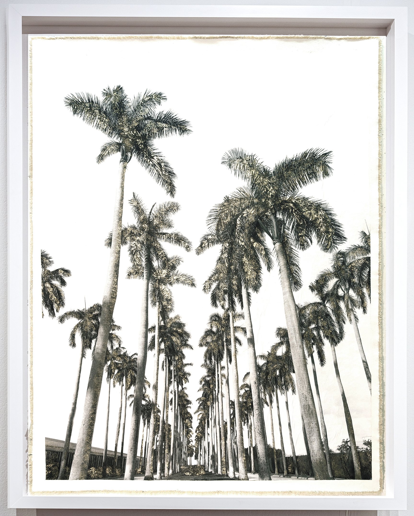 Royal Palm Way, Palm Beach 