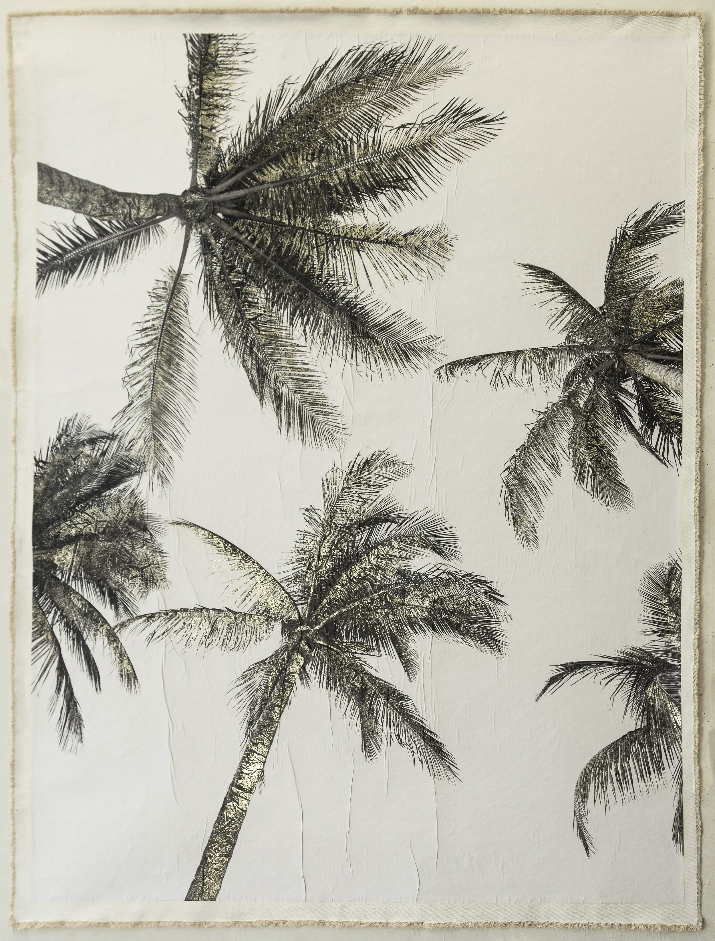  Palm Canopy, Key Biscane II