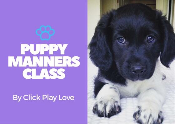 puppy manners.jpg