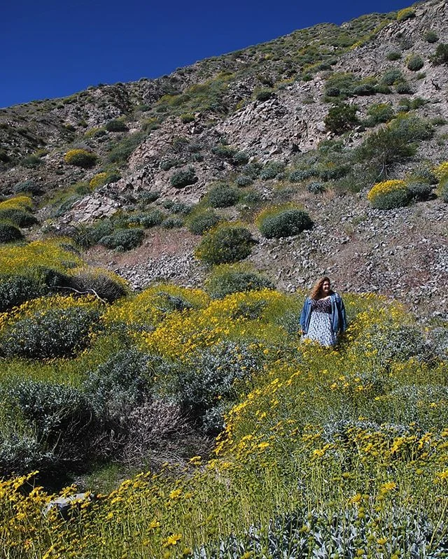 Monday's in Southern California are tough especially during the super bloom.
