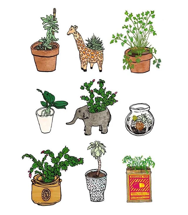 I have a bit of a plant problem #iactuallyownallofthese #wip #illustration #illustratorofinstagram #penandink #plants #succulents #giraffe #elephant #greenthumb #drawingaday #linework