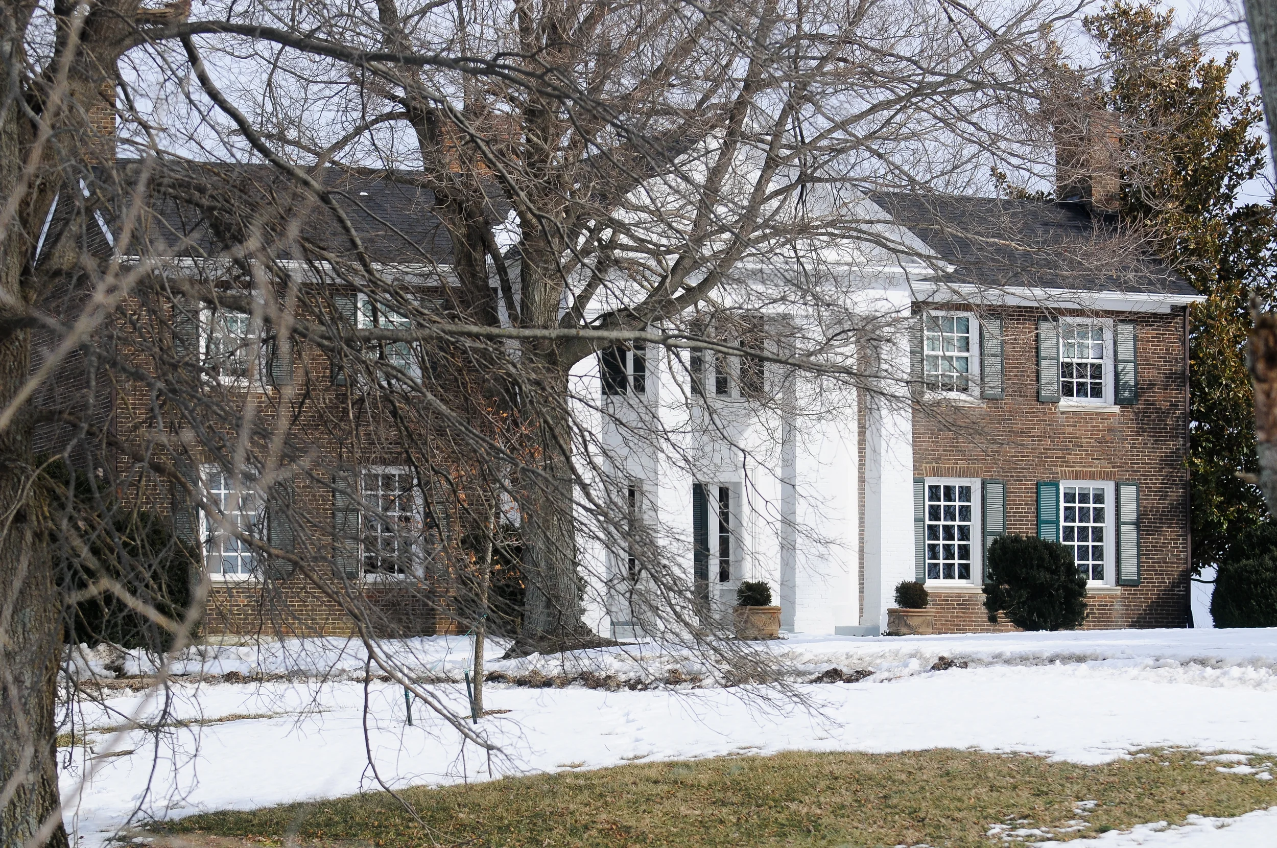 Cumberland View Farm, where Susan and Ed grew up, and where we continue to raise cattle today. 