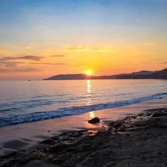 Copy of Dolphin Bay Resort