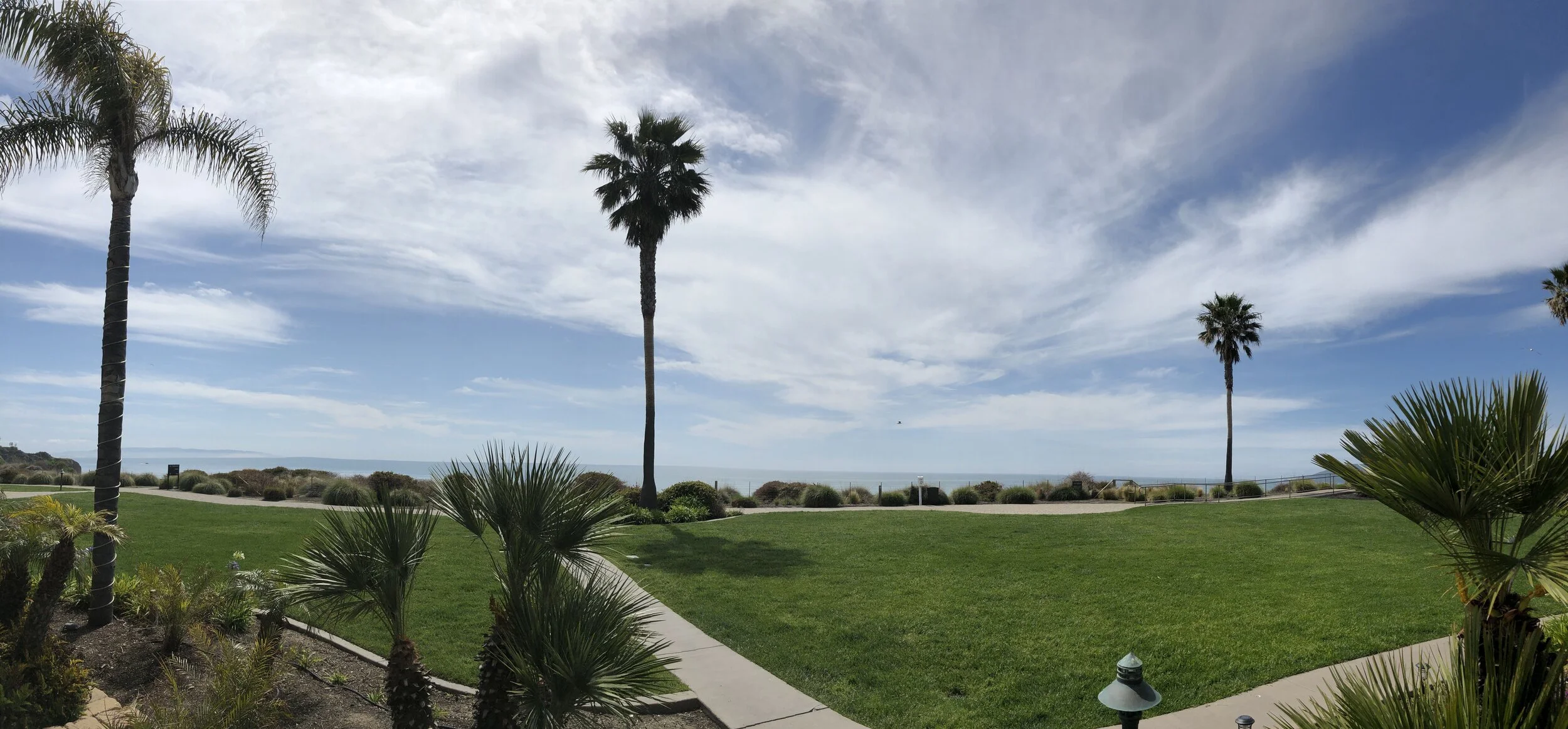 dolphin view.jpeg
