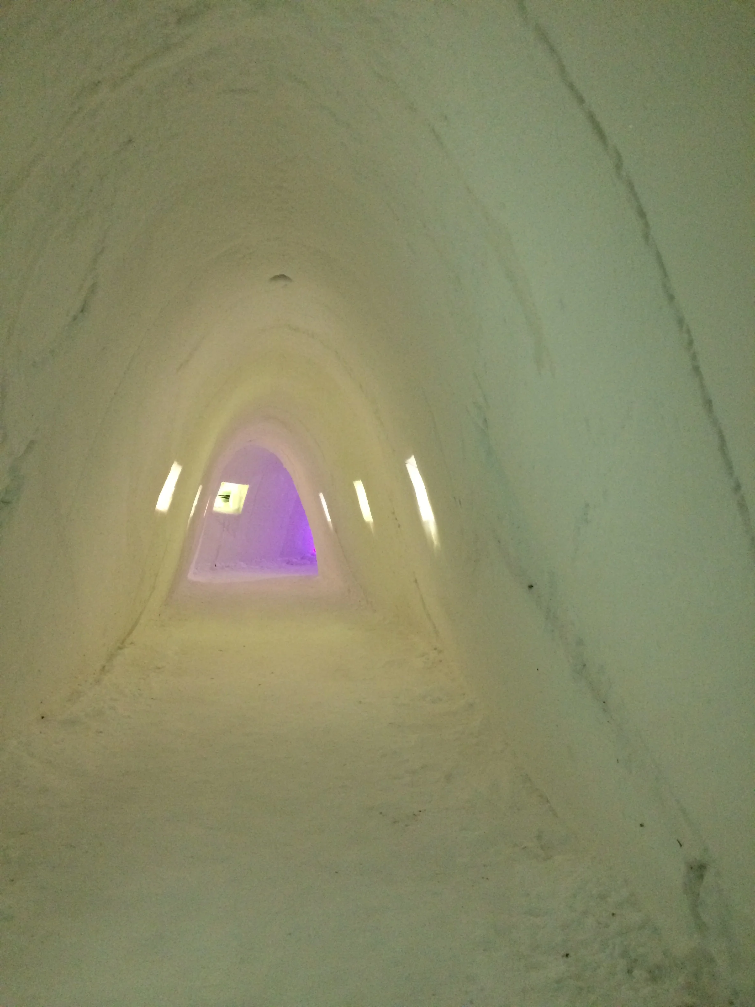 Igloo Lapland