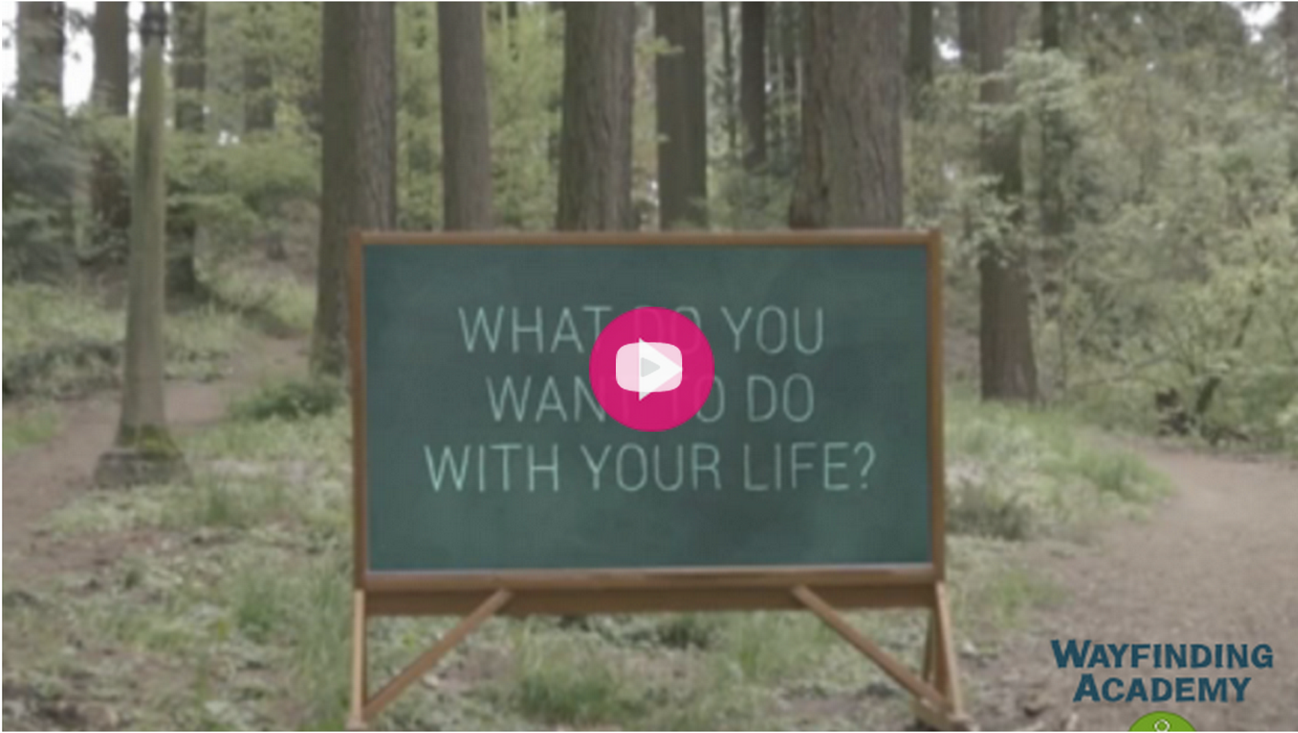 Indiegogo Campaign Video