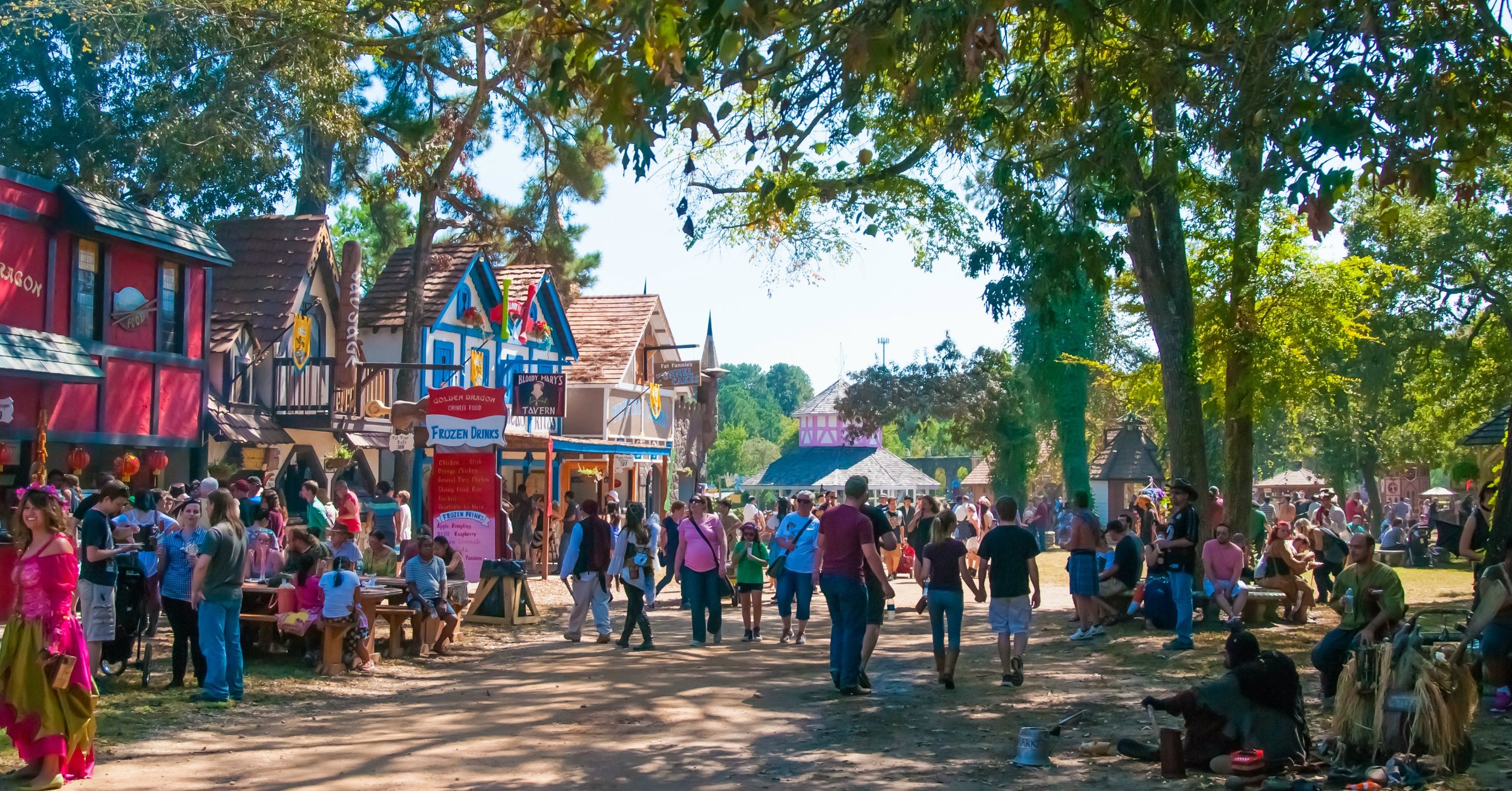 Image result for texas renaissance festival