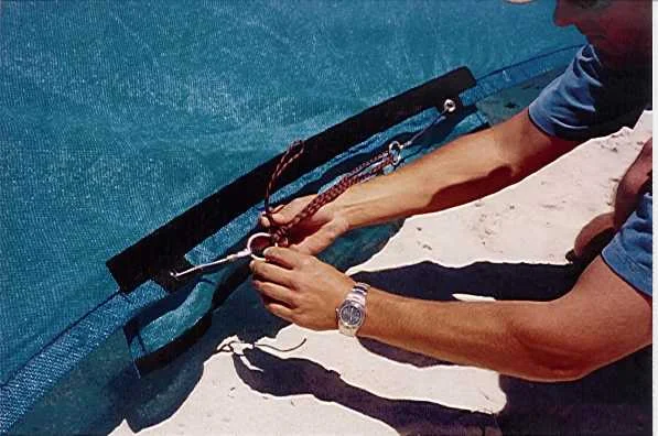 Sail Adjustment.jpg