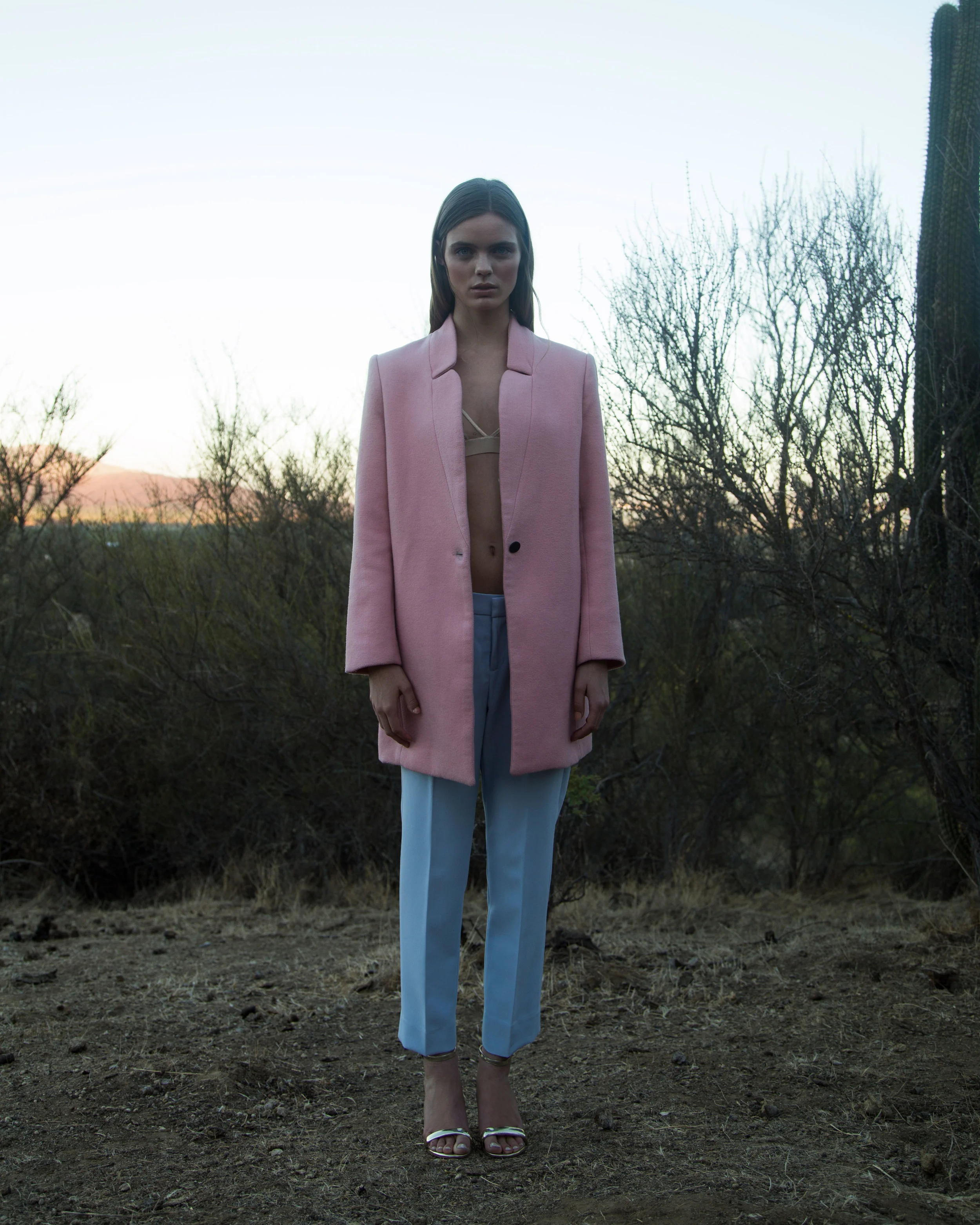 _MG_4650.jpg