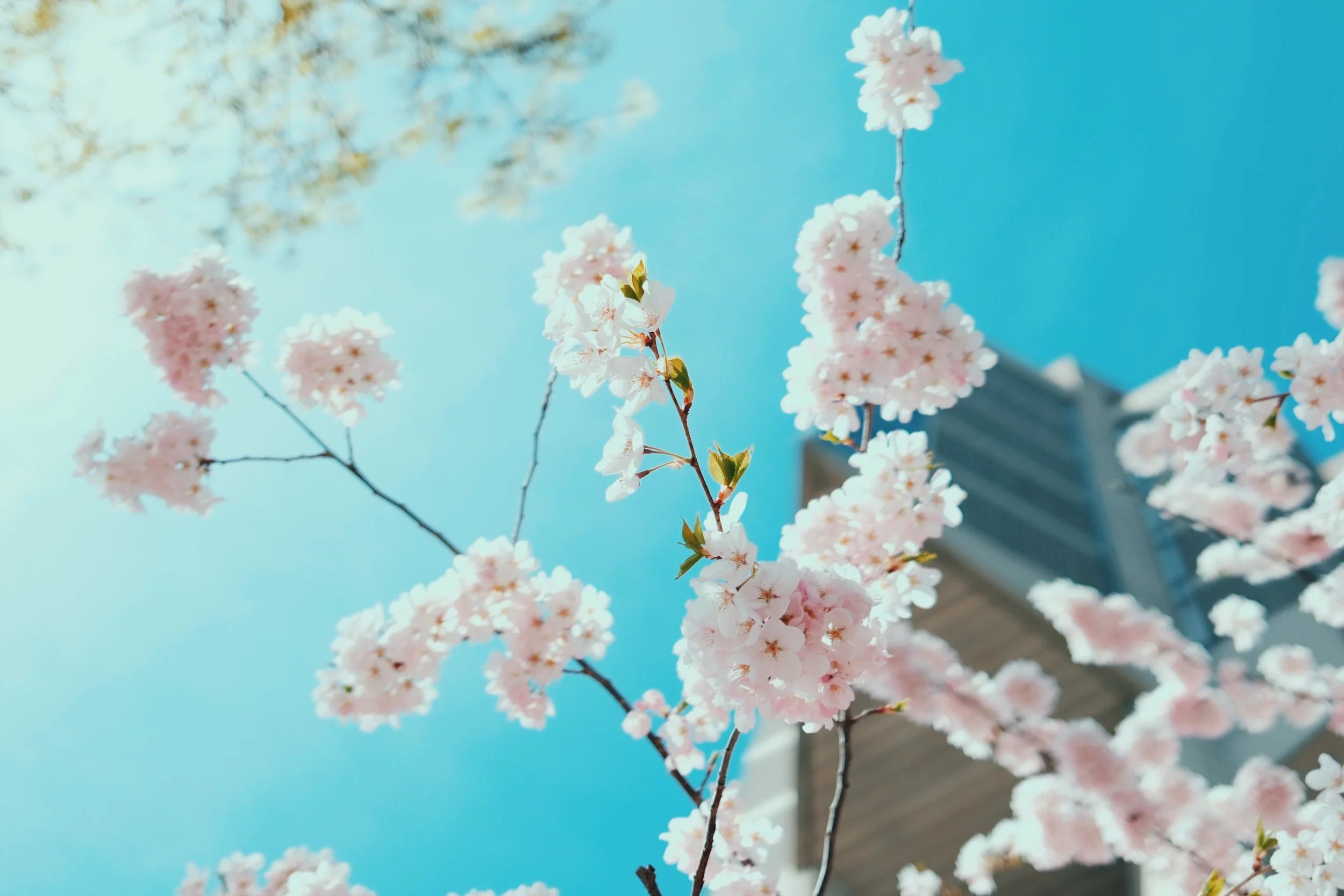 DSCF1669_VSCO.JPG