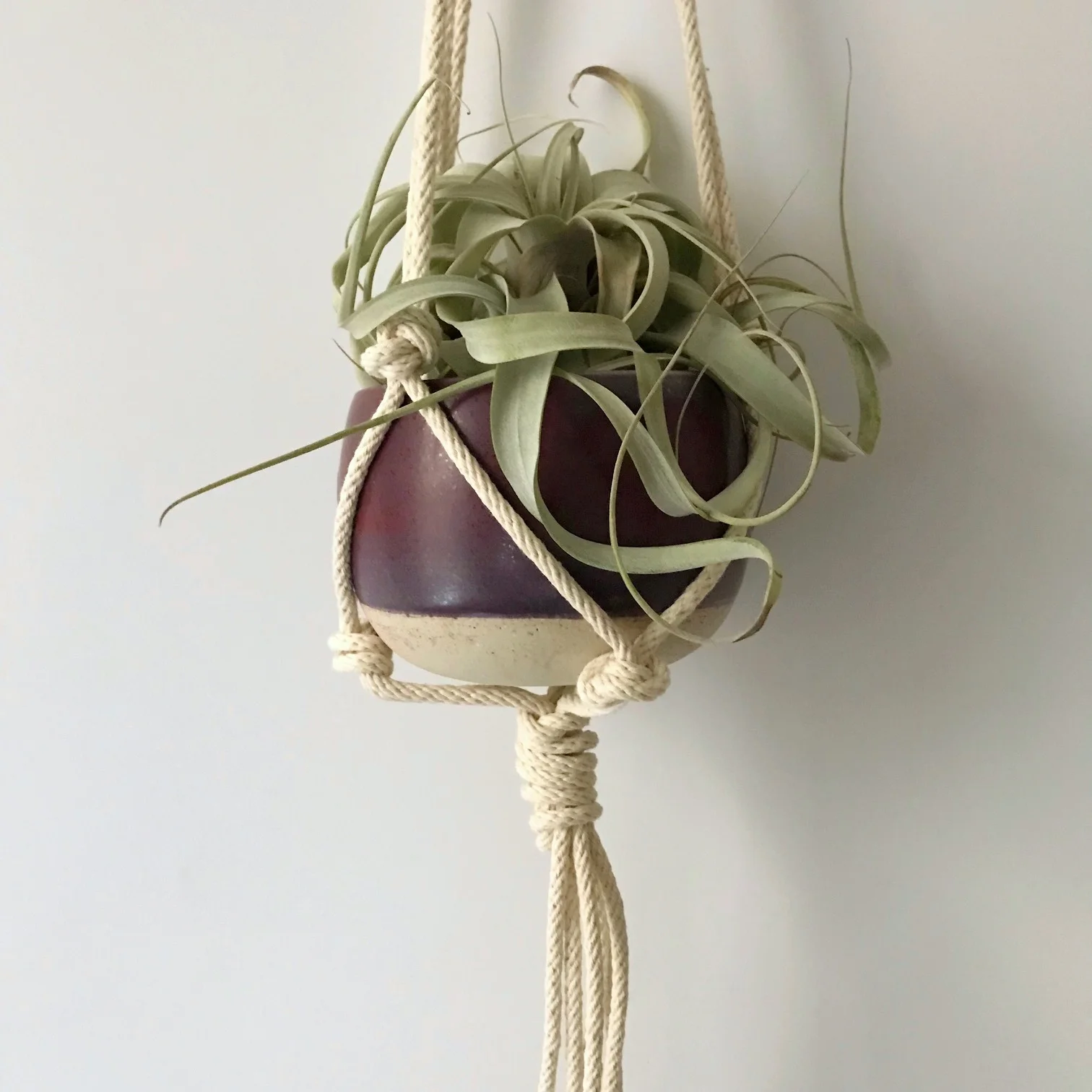 hanging closeup.jpg