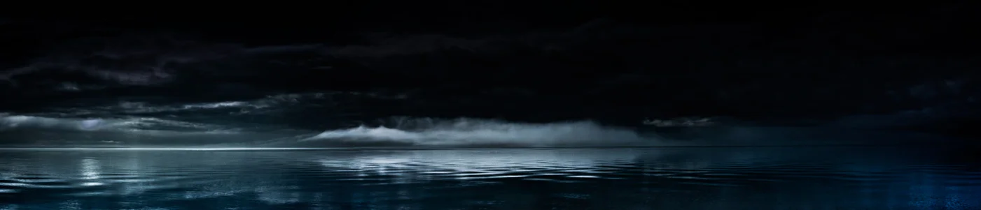 Atmospheres Collection, P110 &nbsp;"Fog Bank, Mobile Bay"