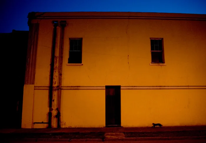 "Yellow Building, Black Cat - Mobile, AL"