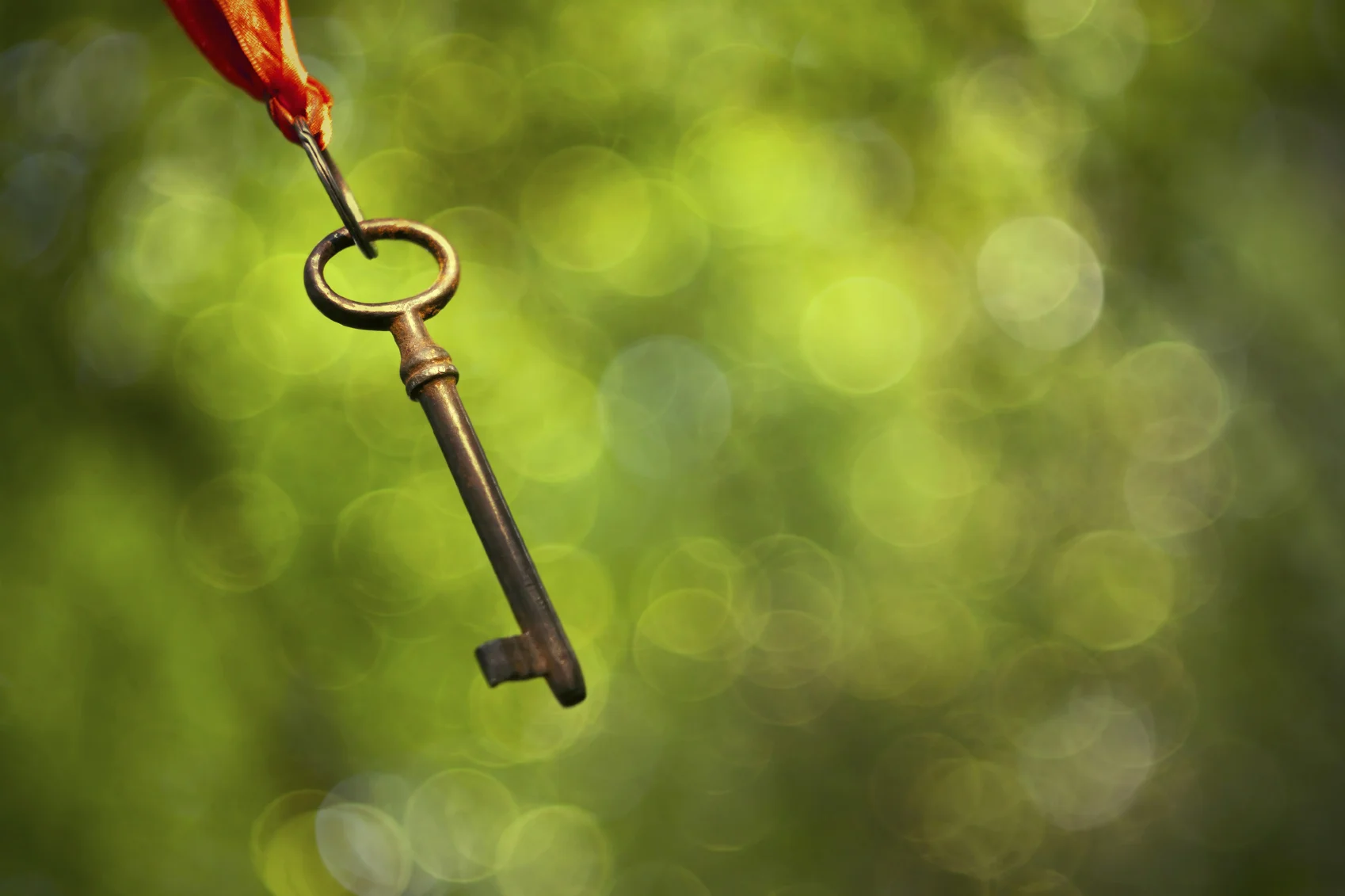 Ditch Your Old Belief System