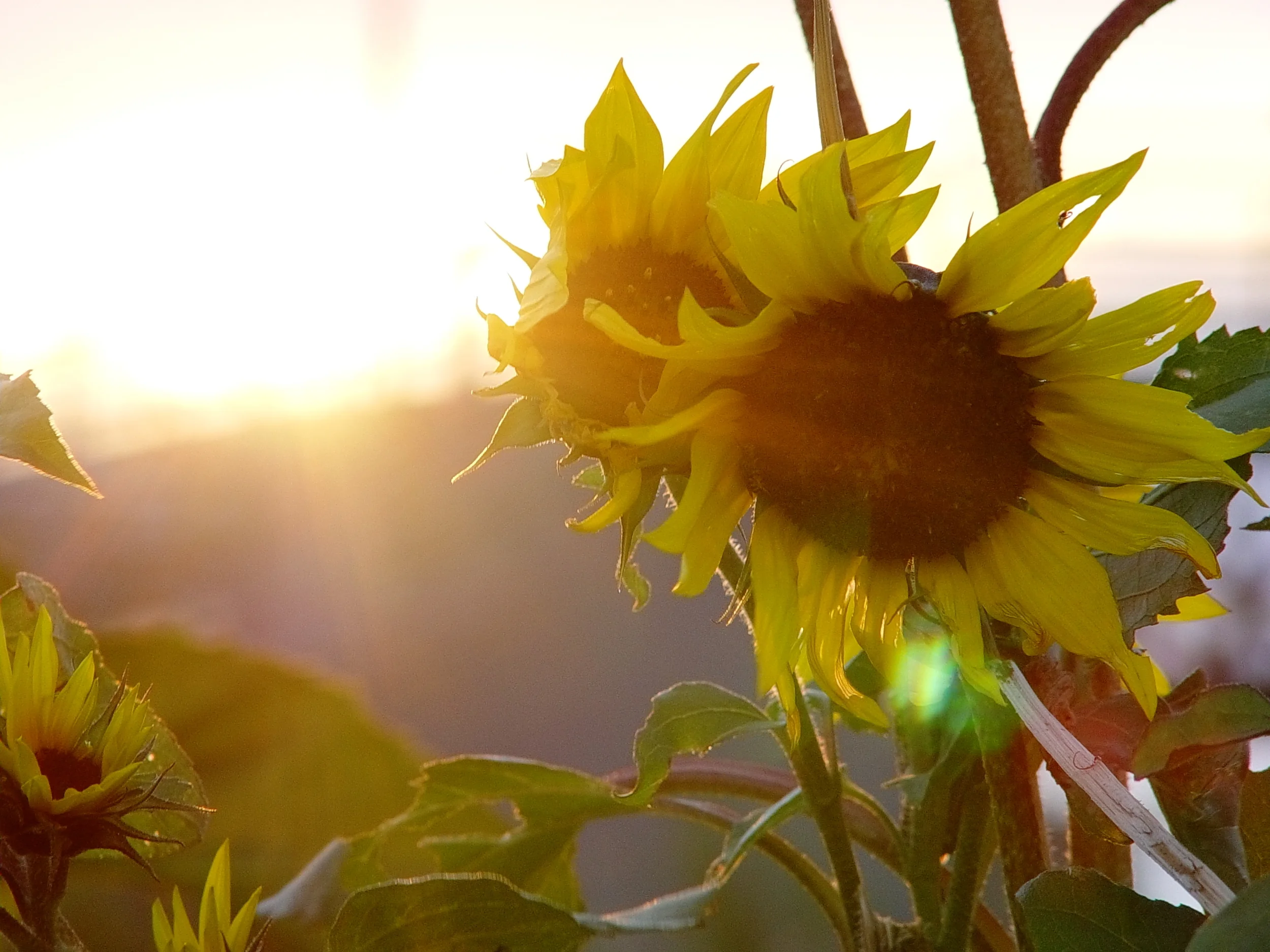 Stuck In a Rut? I Have Been There