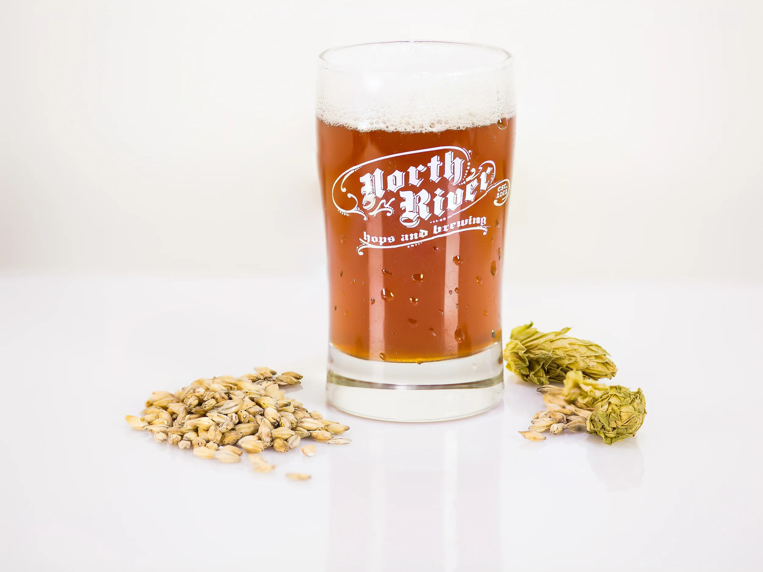 regularbeer-1.jpg